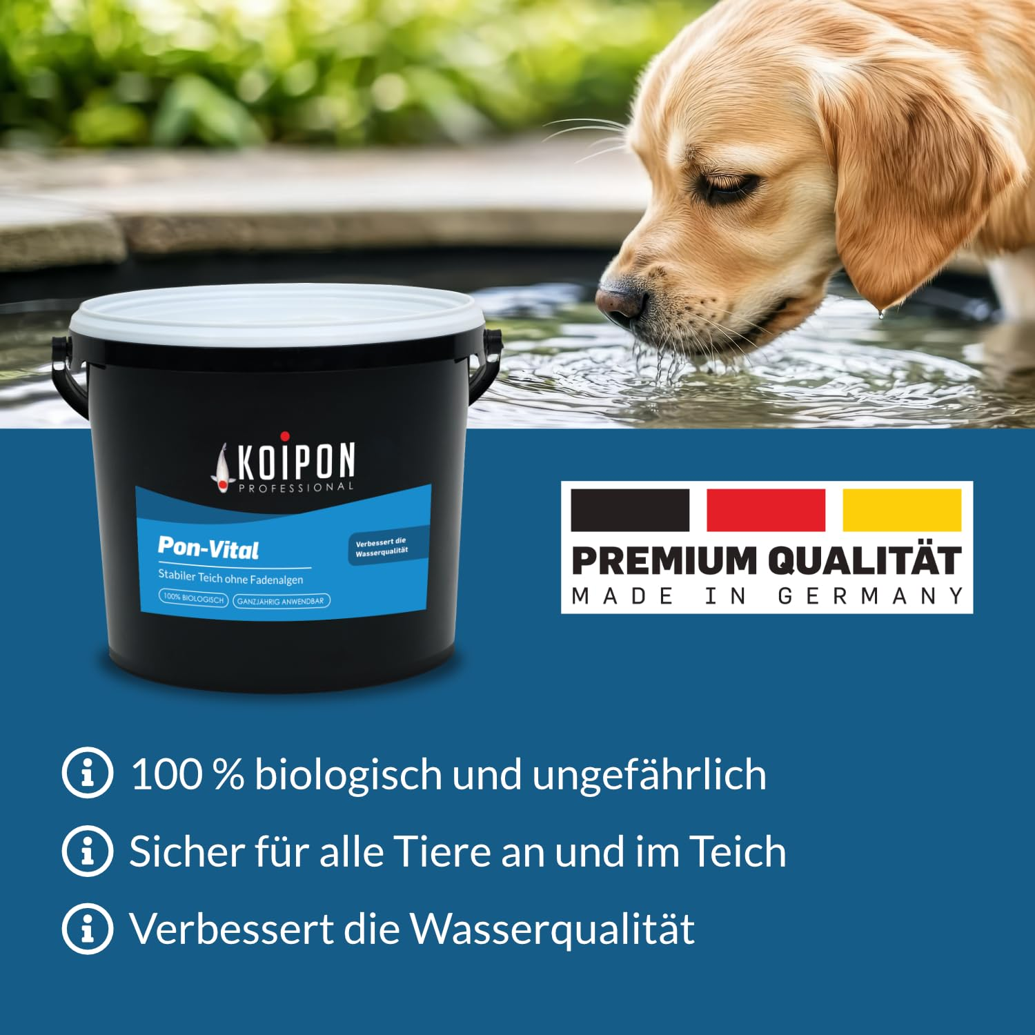 Seau noir Pon-Vital près d'un étang où un golden retriever boit, avec du texte.