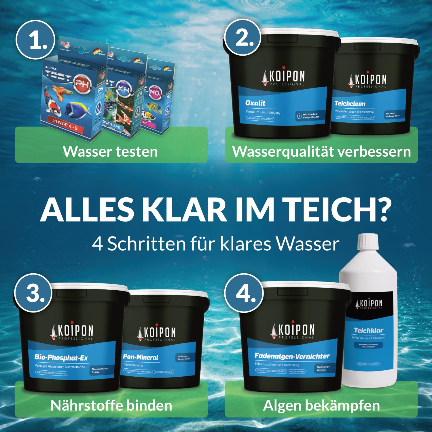 Quatre étapes pour une eau de bassin claire avec des produits Koipon sur fond bleu.