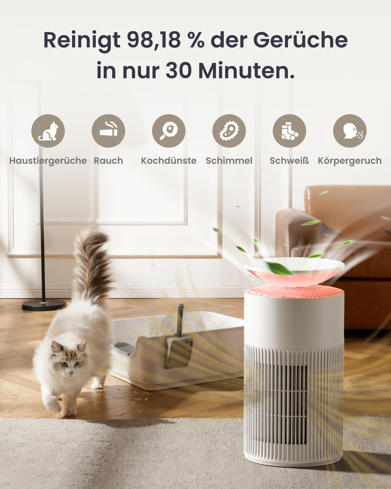 Ein Luftreiniger entfernt Tiergerüche, Rauch und Schimmel in einem Wohnzimmer mit Katze und Katzenklo.