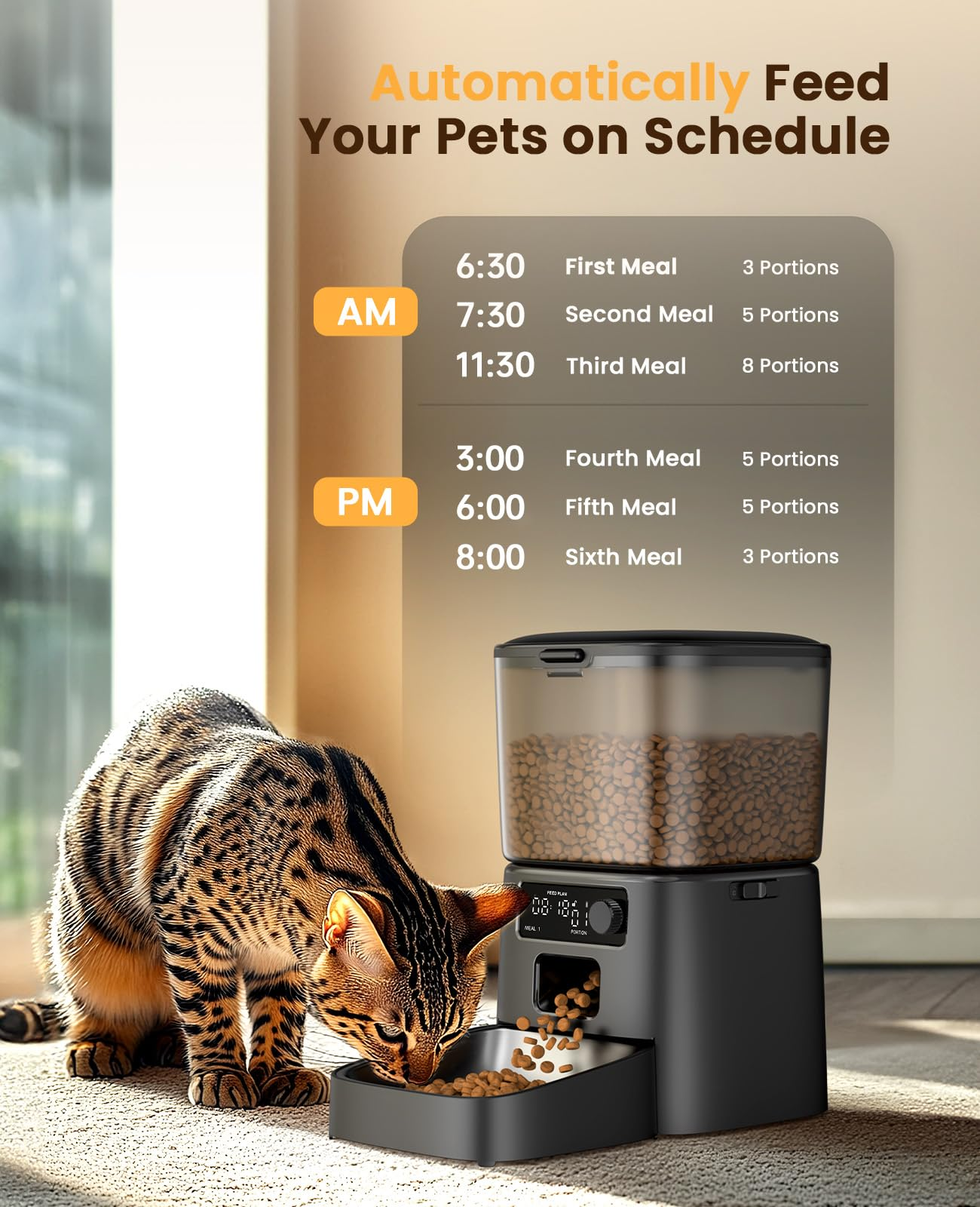 Un gatto tabby mangia da una mangiatoia automatica per animali con un programma di alimentazione.