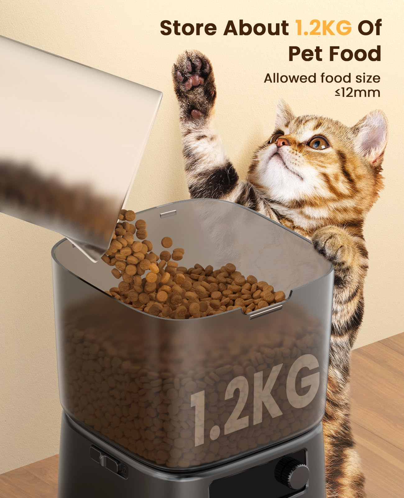 Un gatto tigrato allunga la zampa mentre del cibo secco viene versato in un contenitore.