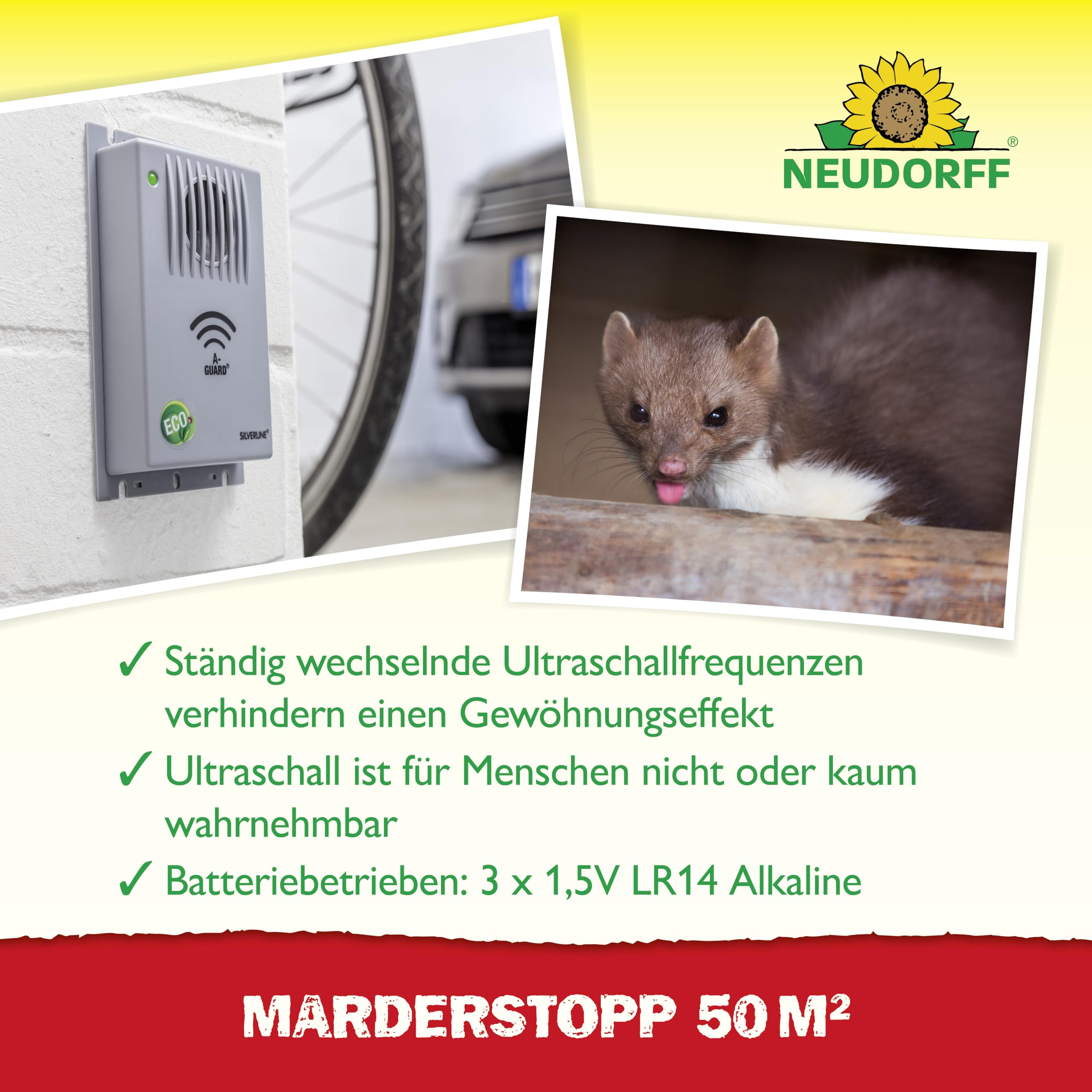 Répulsif à ultrasons pour fouines sur un mur, une fouine et des détails.