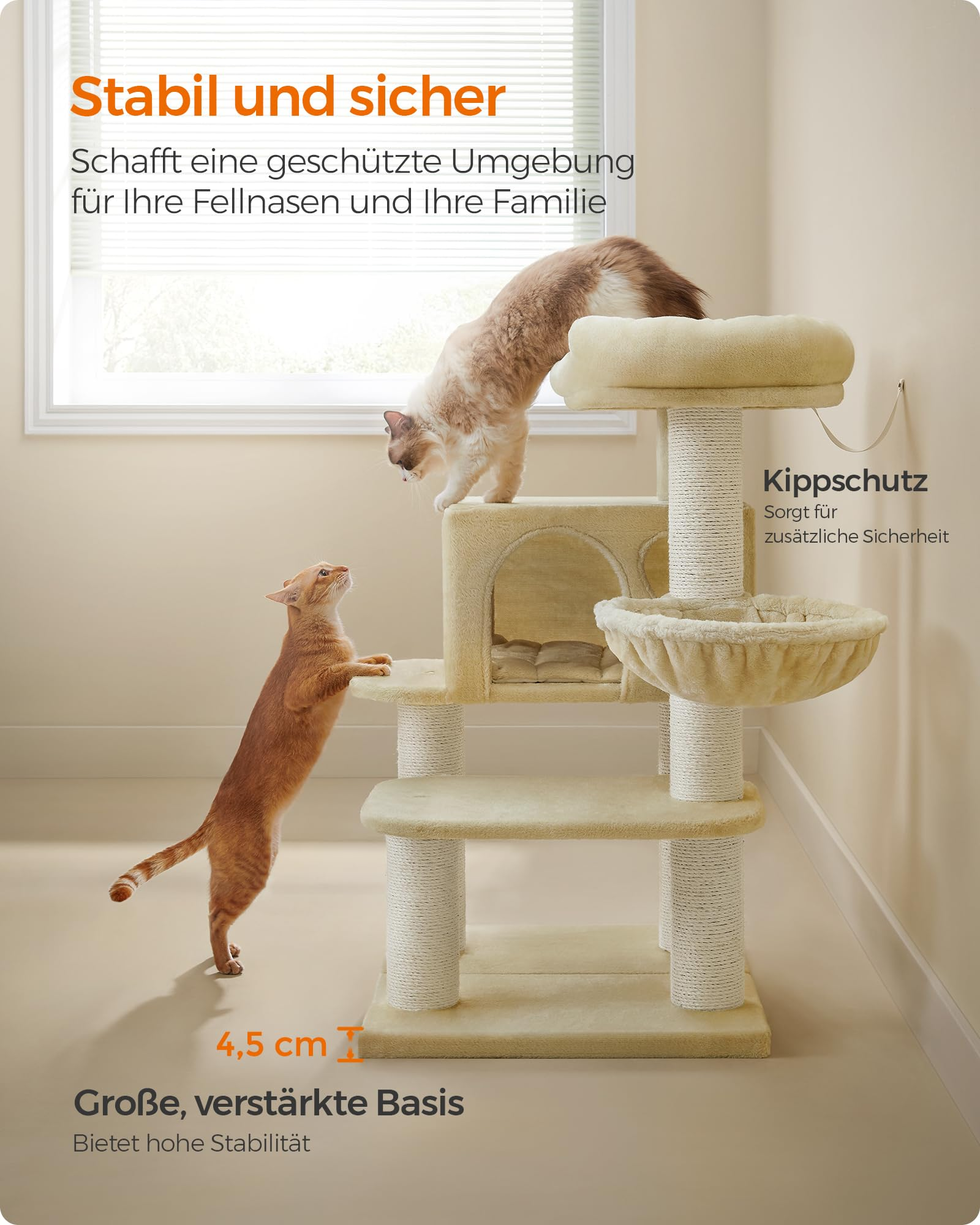 Zwei Katzen spielen an einem hellen Kratzbaum vor einem Fenster.