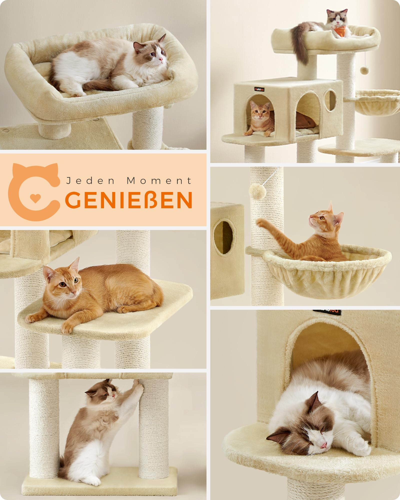 Eine Collage zeigt Katzen, die mit einem beige, teppichbezogenen Kratzbaum spielen und ruhen.