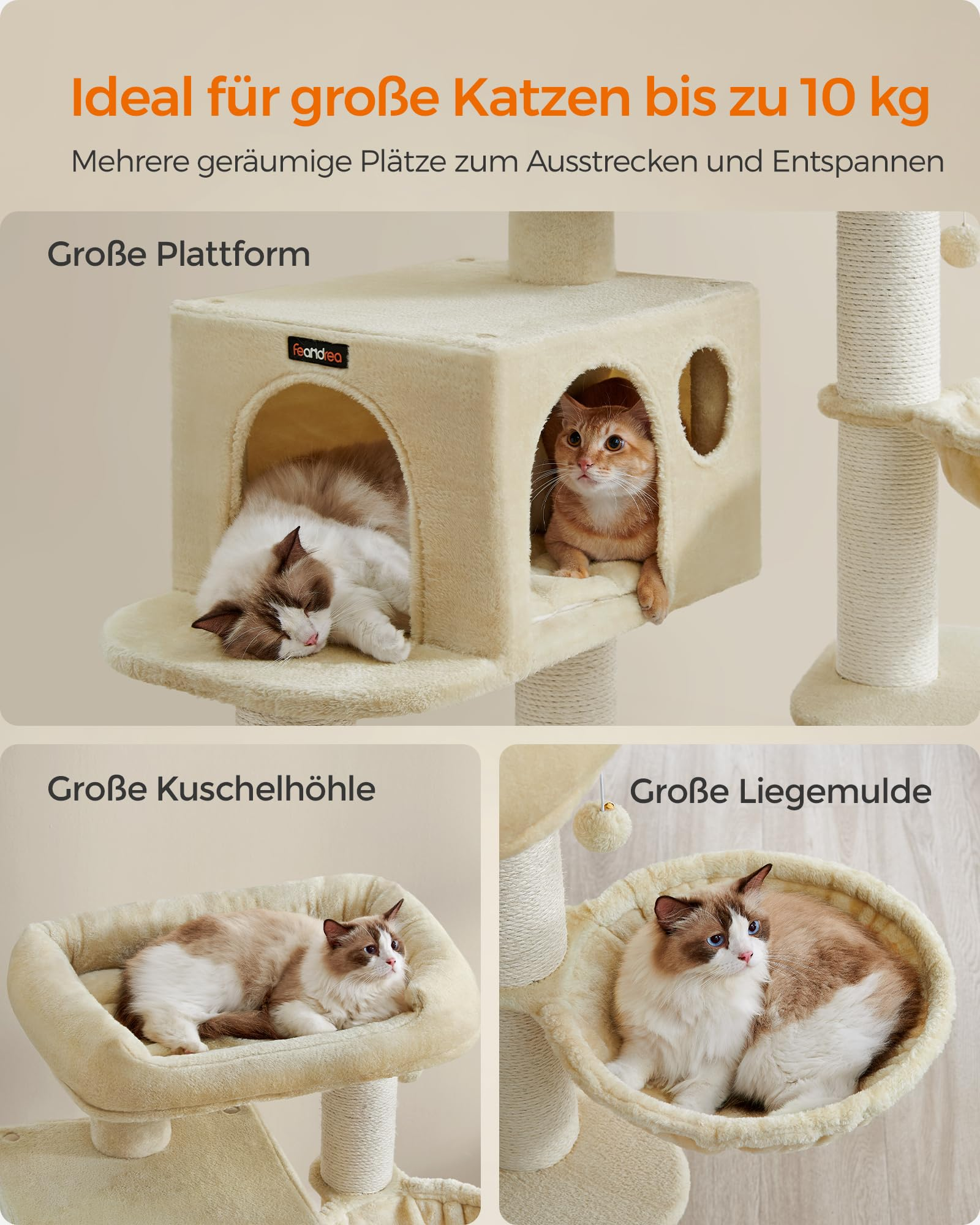 Katzen nutzen einen großen, beigen Kratzbaum mit Plattform, Kuschelhöhle und Liegemulde.