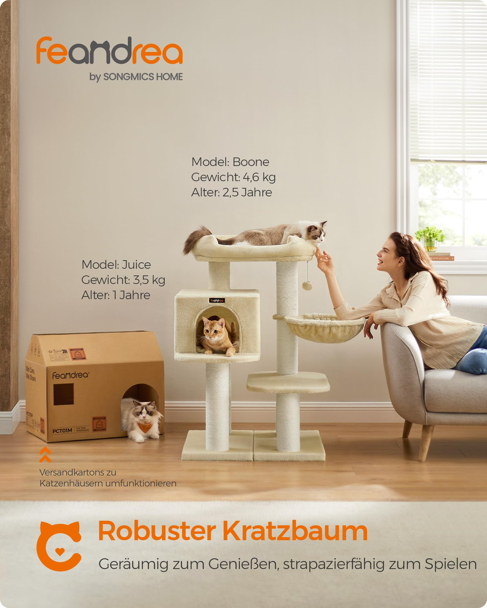 Eine Frau auf einem Sofa spielt mit einer Katze auf einem Katzenbaum, während eine andere in einer Schachtel ist.