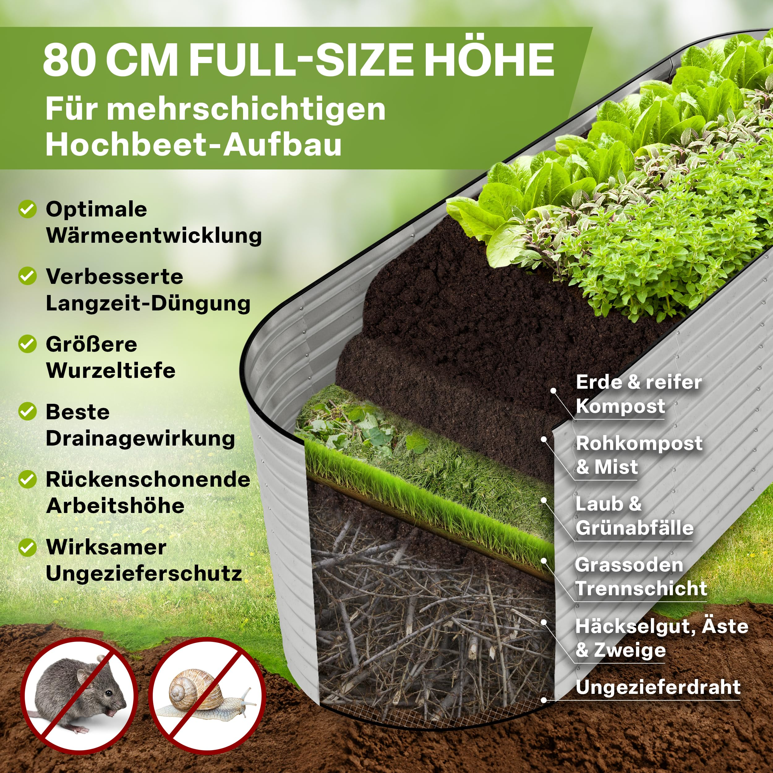 Coupe transversale d'un carré potager surélevé montrant des couches de terre, du compost et des plantes.