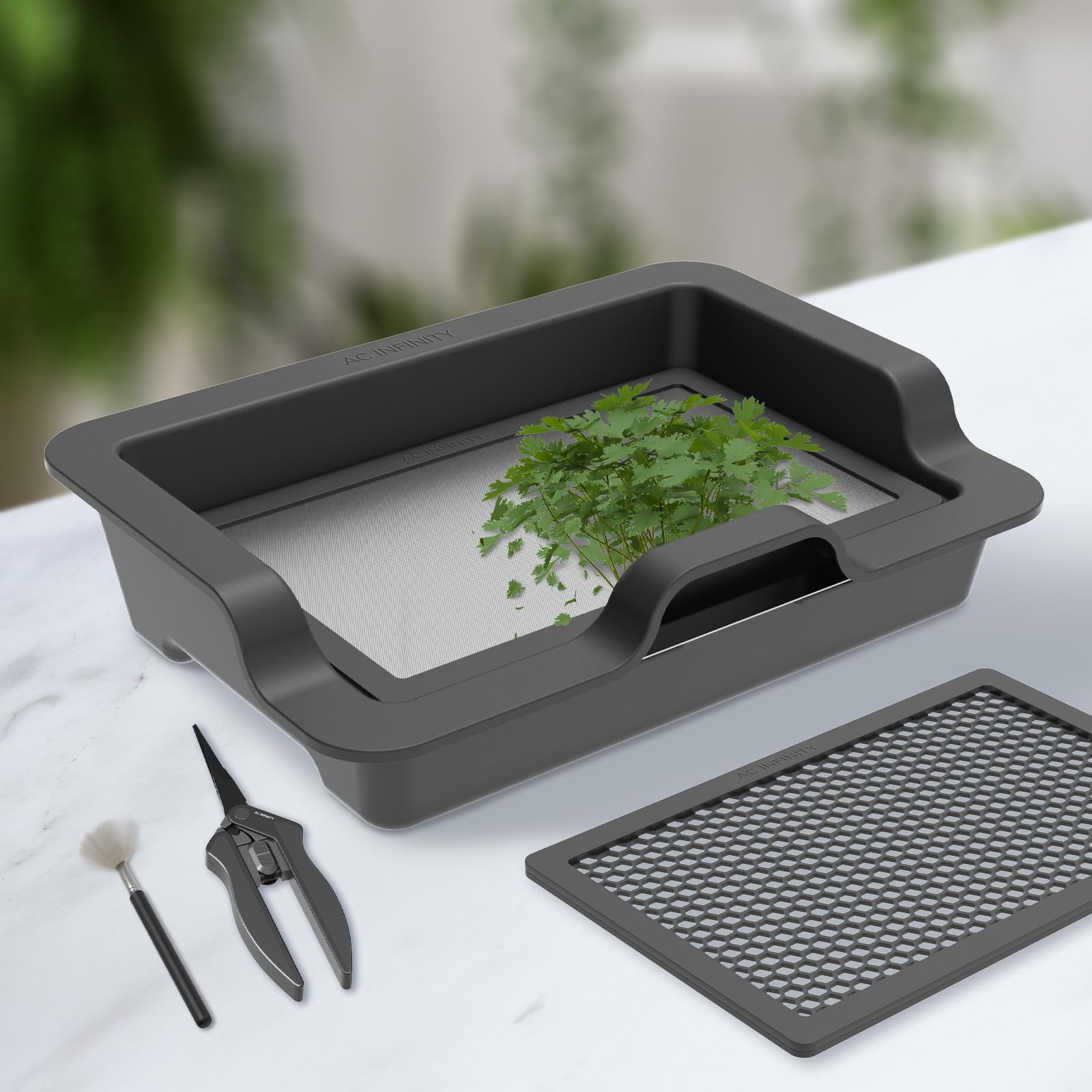 Un plateau de taille noir avec des herbes vertes fraîches, des ciseaux et un pinceau sur une surface blanche.