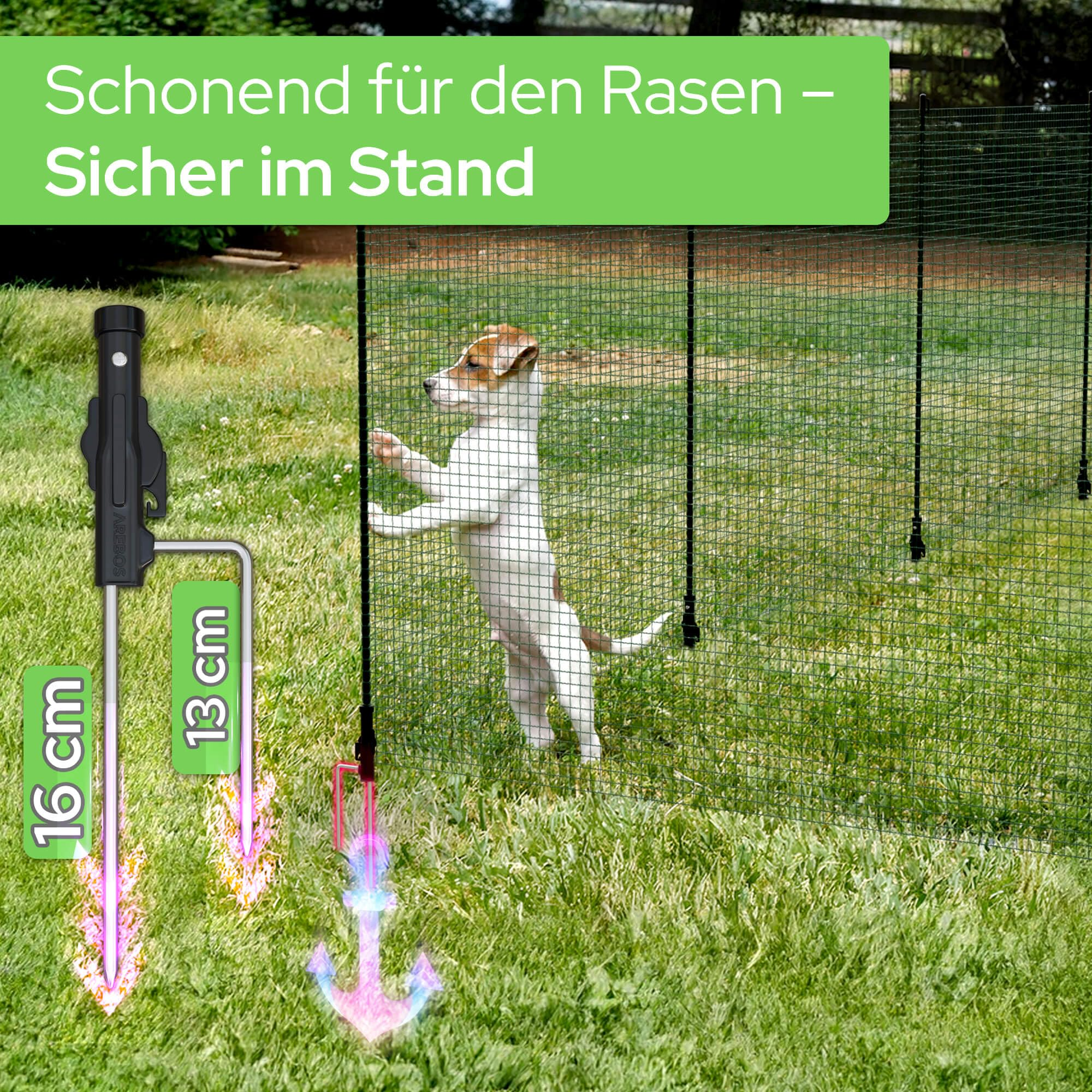 Chiot debout près d'un filet de jardin vert sur l'herbe, avec des mesures au premier plan.