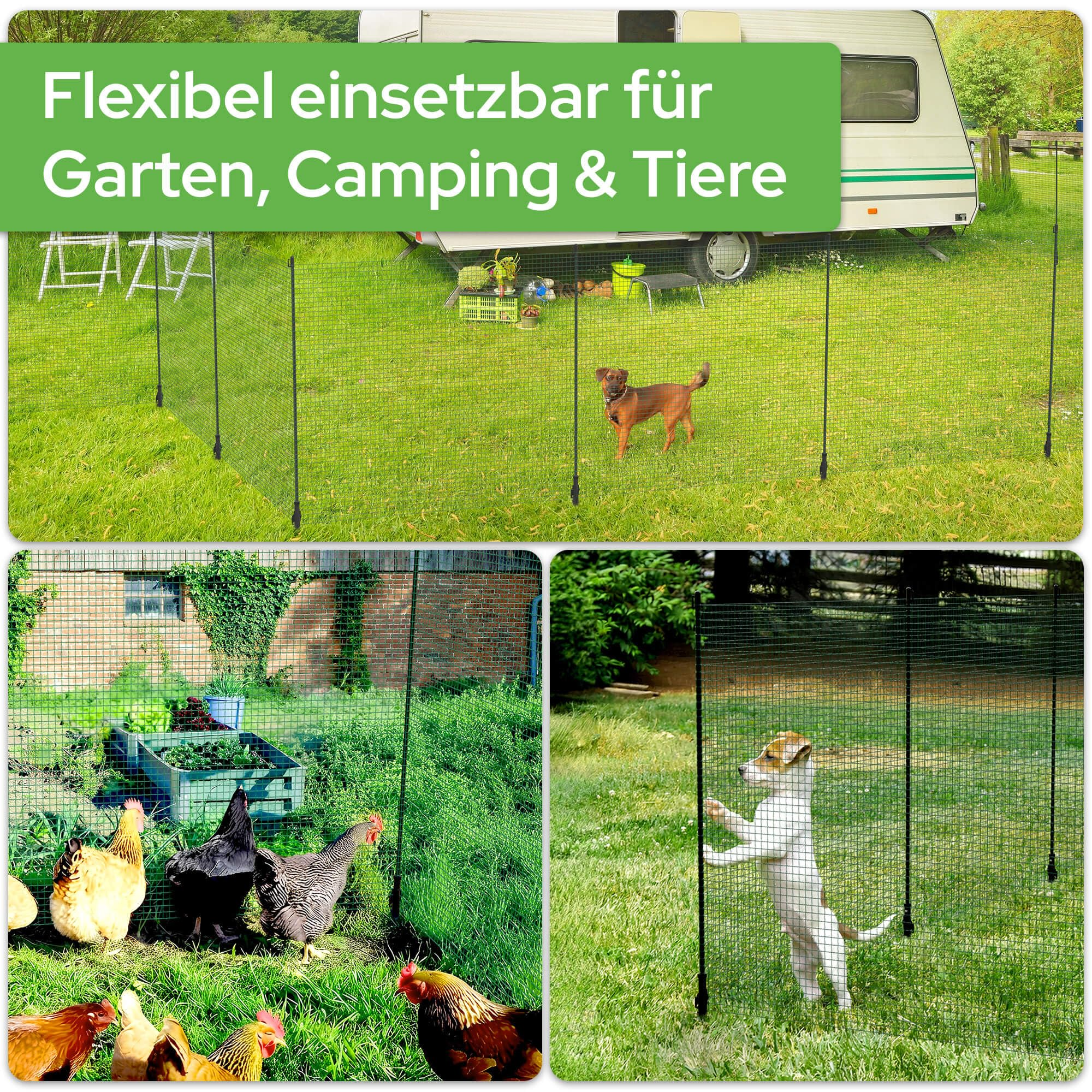 Un filet de protection vert dans un jardin, idéal pour le camping, les chiens et les poules.