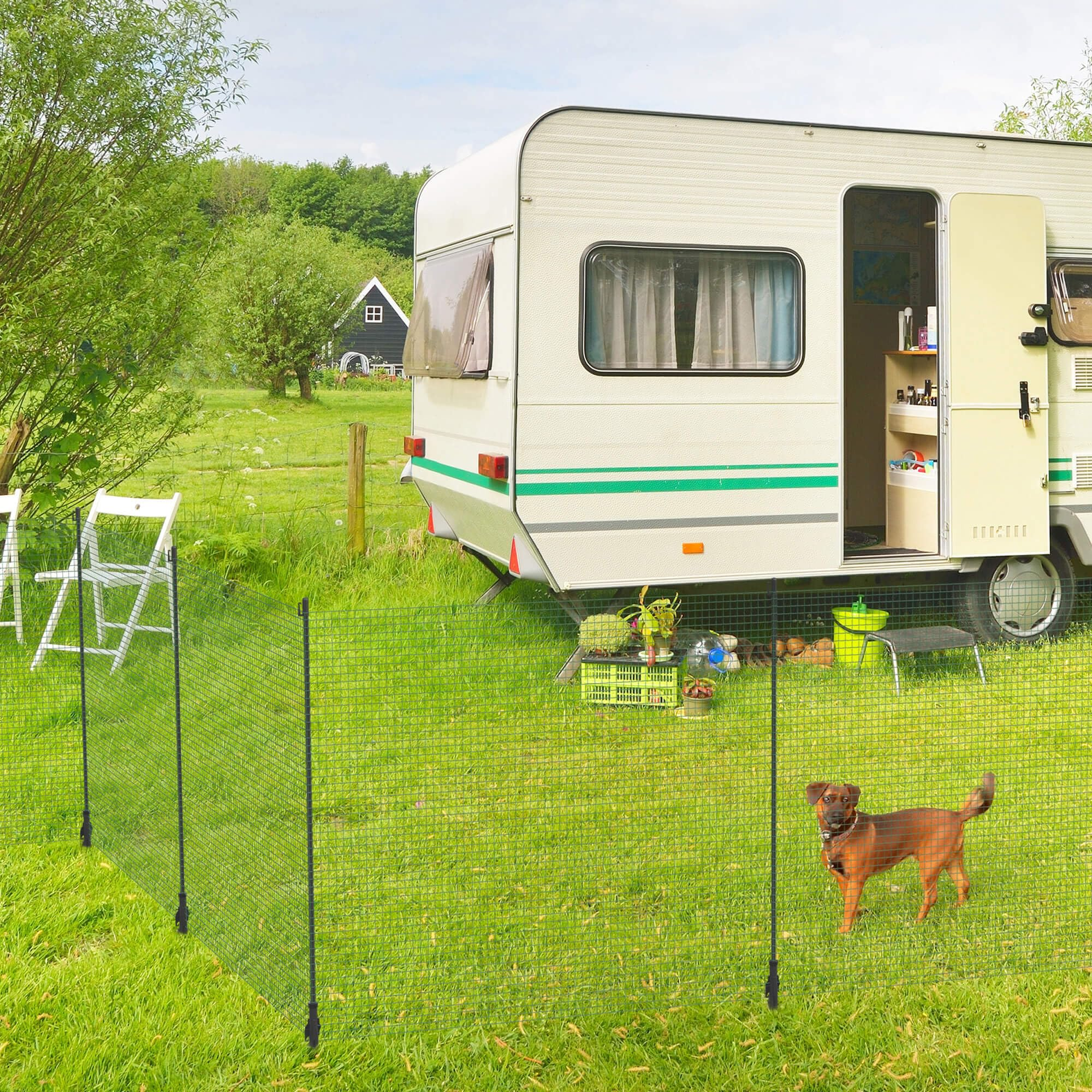 Un chien brun se tient dans un jardin clôturé près d'une caravane blanche.