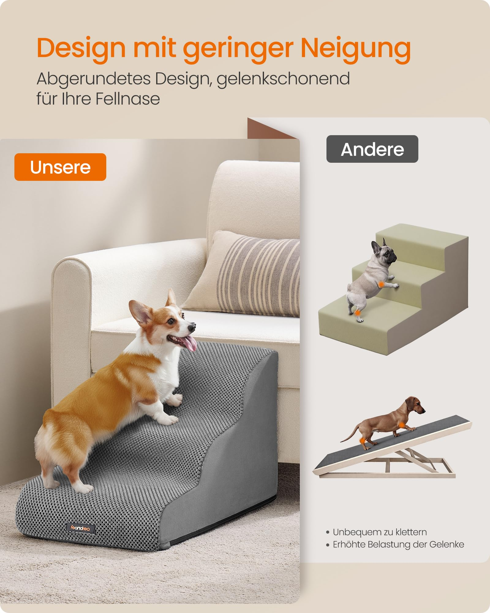 Un corgi monte une rampe grise inclinée près d'un canapé, avec deux autres options à droite.
