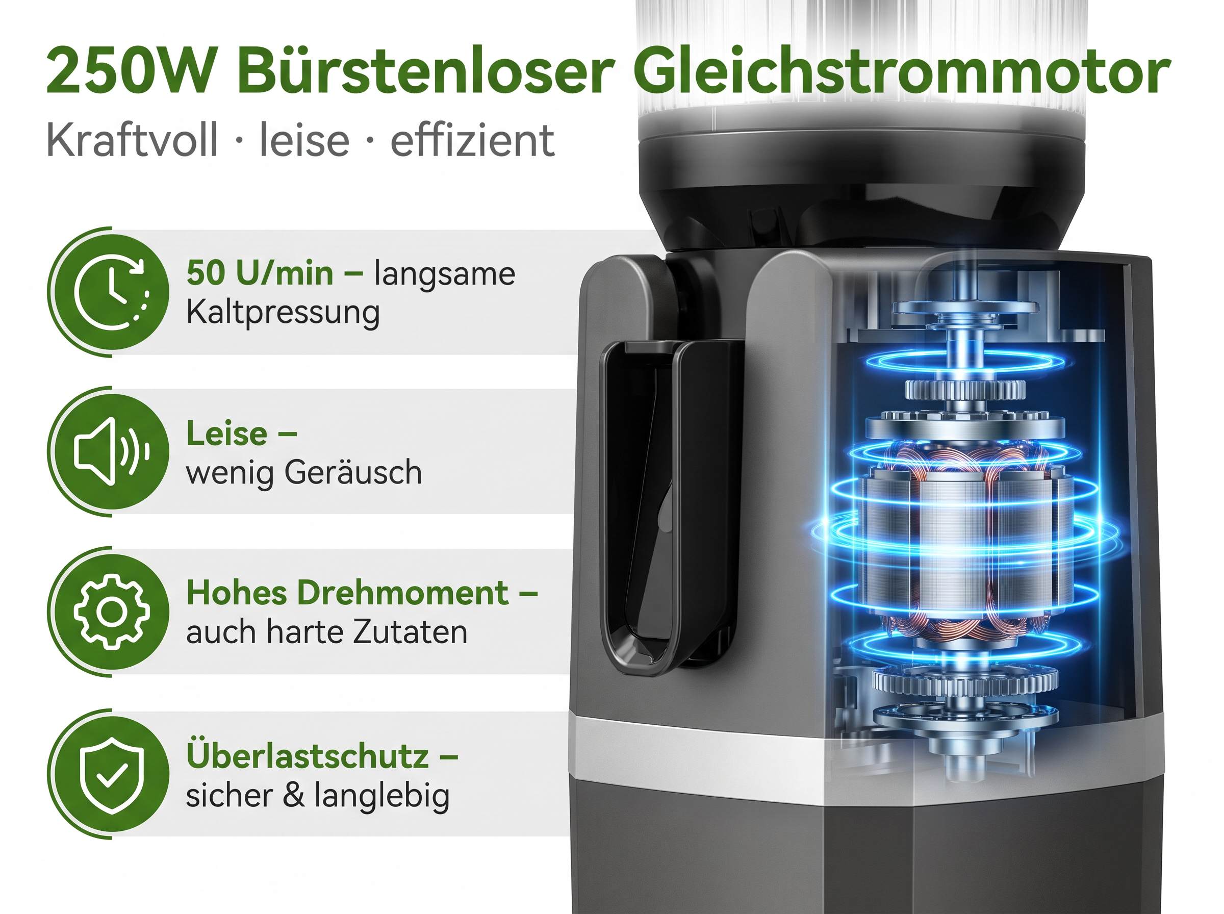 Diagramm eines bürstenlosen 250W-Gleichstrommotors in einem Entsafter mit Funktionsmerkmalen.