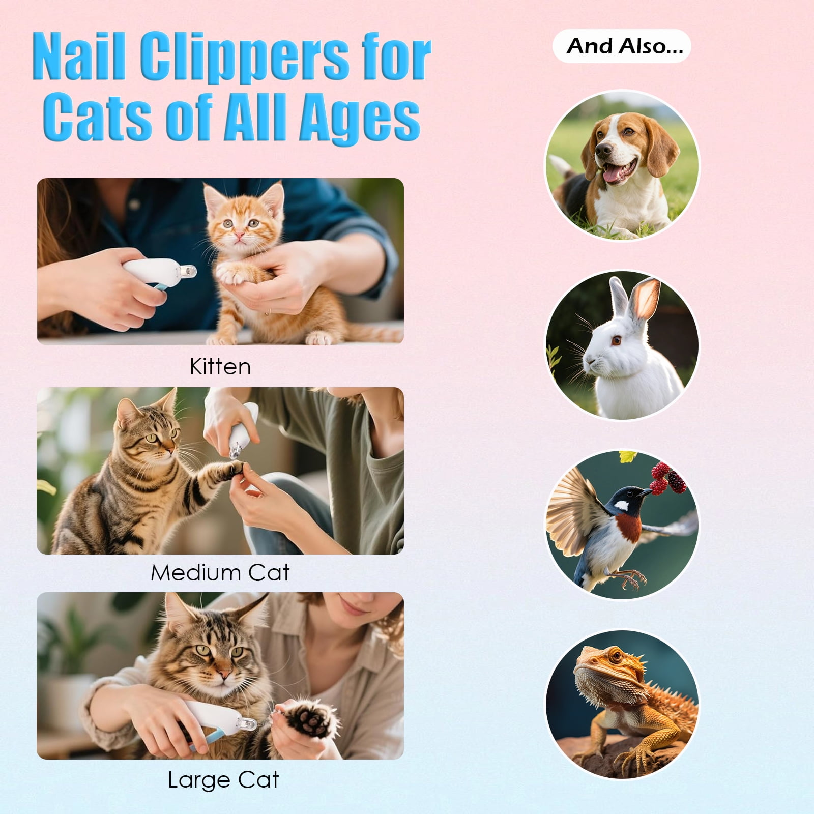Werbung für Katzennagelknipser, die bei Kätzchen, Katzen, Hunden, Kaninchen, Vögeln und Eidechsen verwendet werden.