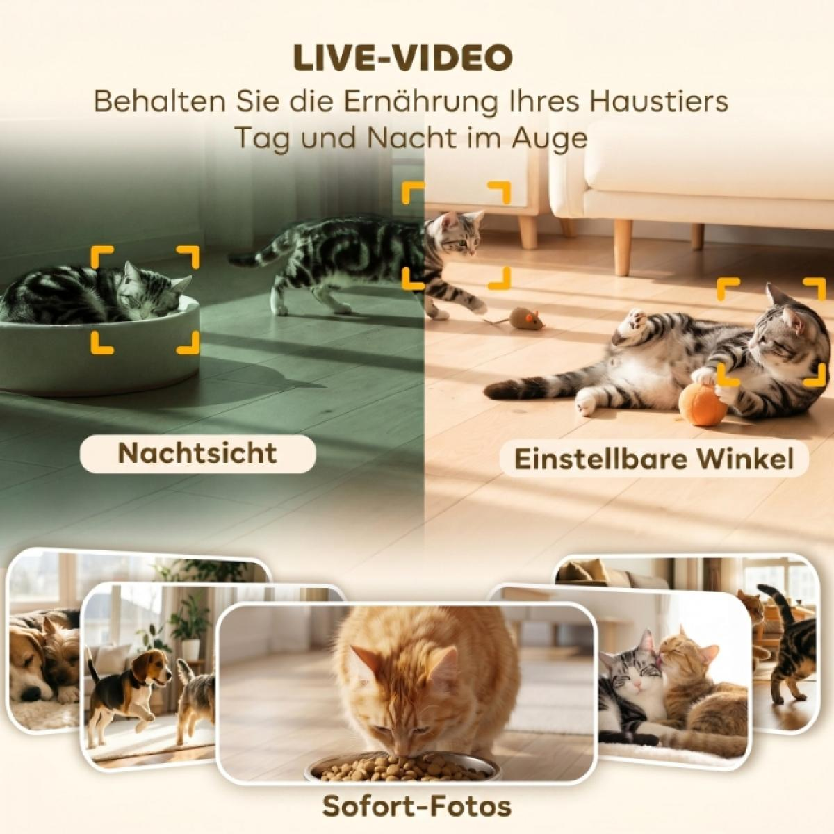 Live-Video einer Haustierkamera mit Nachtsicht, verstellbaren Winkeln und Sofortfotos, die Katzen und Hunde zeigt.