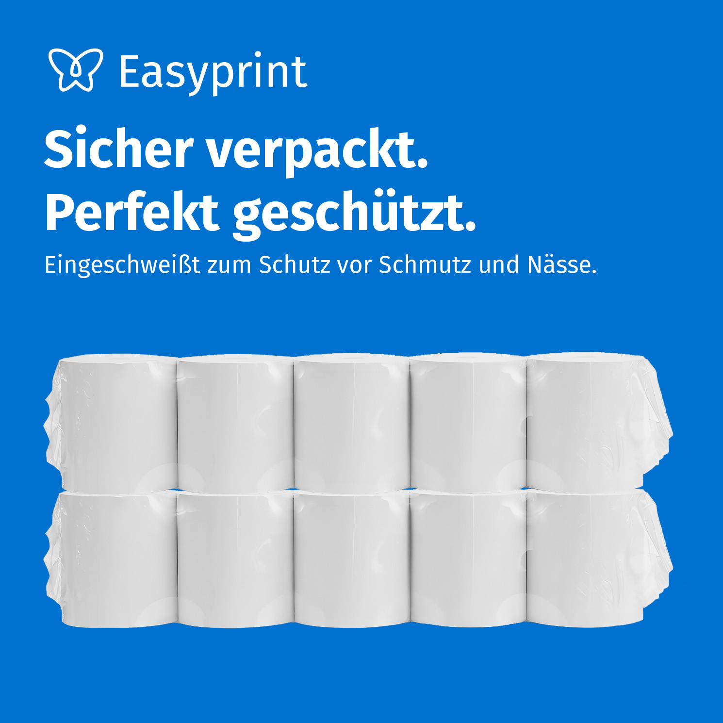 Ein Paket aus zehn in Plastik eingeschweißten weißen Toilettenpapierrollen vor blauem Hintergrund.