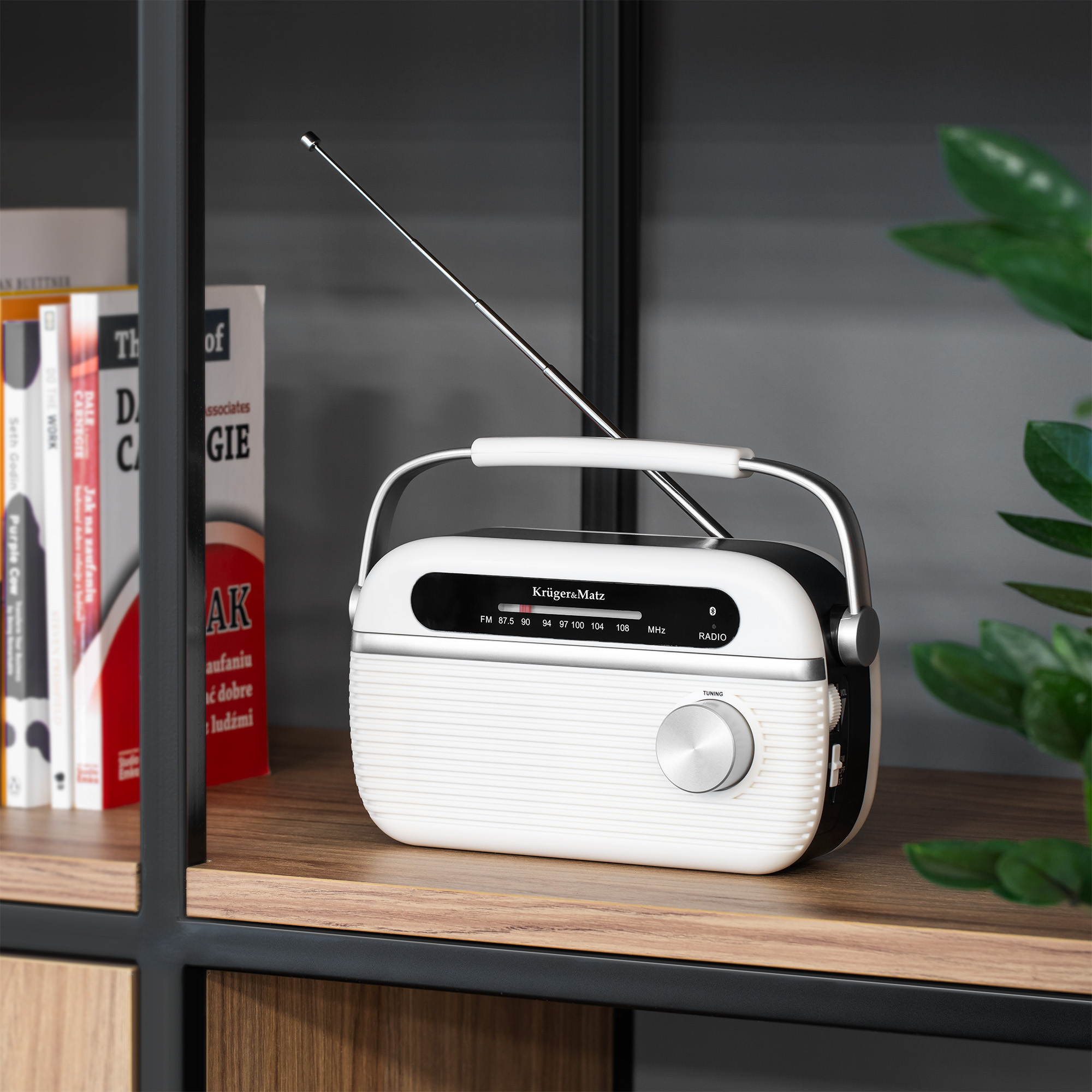 Białe radio retro z anteną stoi na drewnianej półce obok książek i rośliny.
