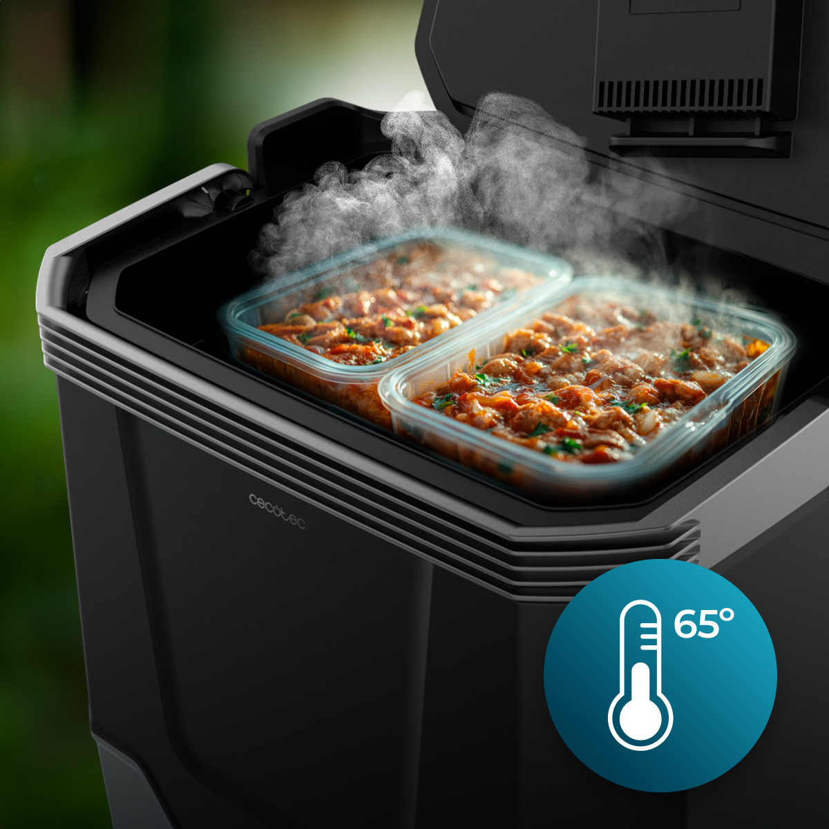 Cibo fumante in contenitori dentro un frigo portatile, con icona a 65 gradi.