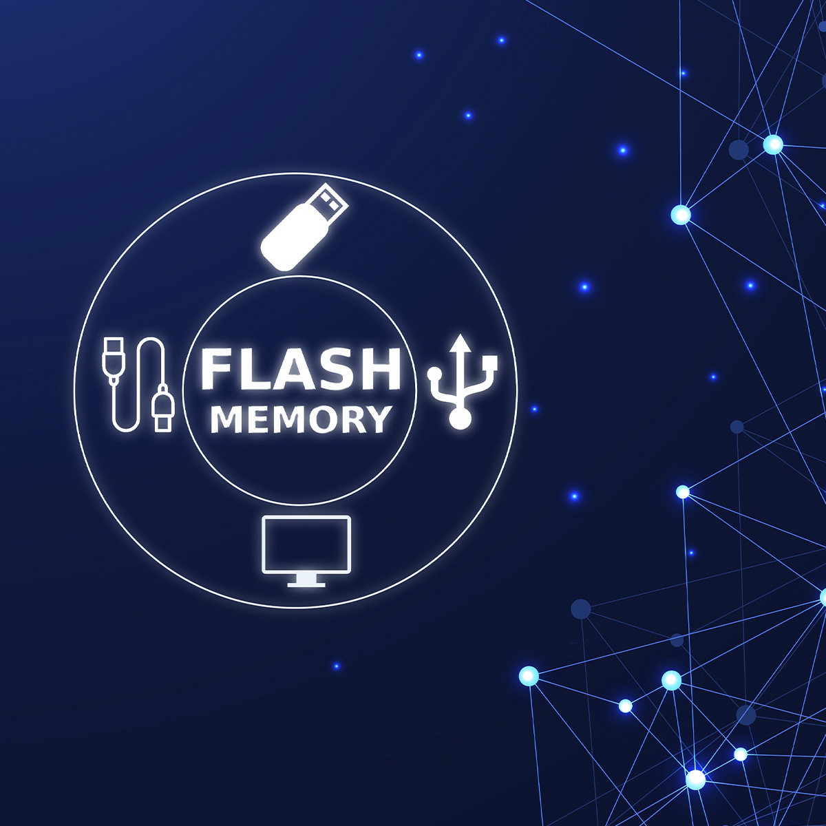 Gráfico azul con texto Flash Memory e iconos USB sobre un fondo de red digital.