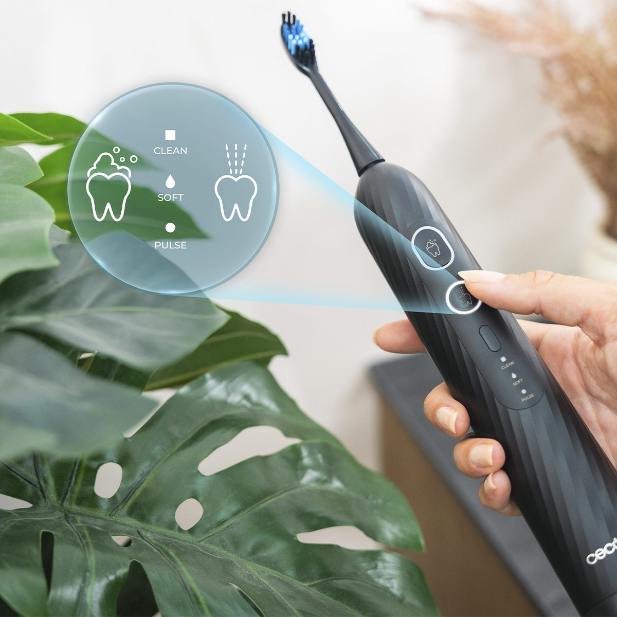 Una mano sostiene un cepillo de dientes eléctrico negro junto a hojas de plantas con modos de limpieza.