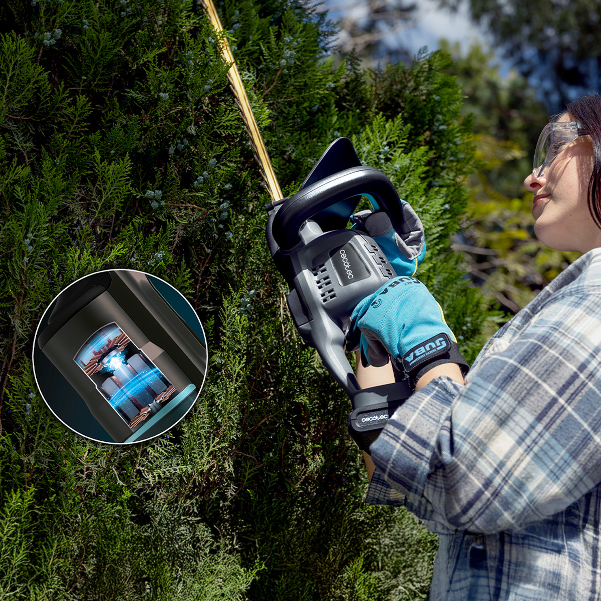Una mujer con equipo de protección recorta un seto verde con un cortasetos eléctrico, inset muestra su motor.