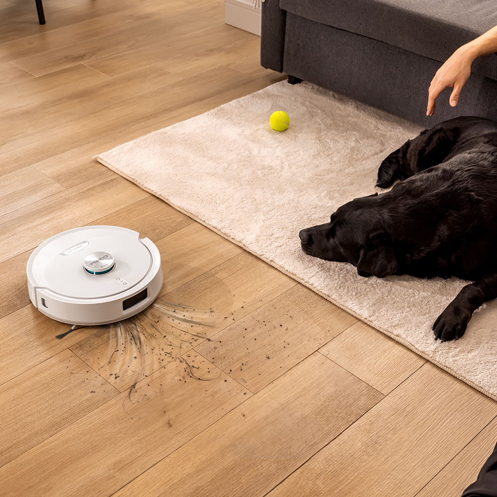Un robot aspirador blanco limpia un suelo de madera cerca de una alfombra donde descansan un perro negro y una pelota de tenis.
