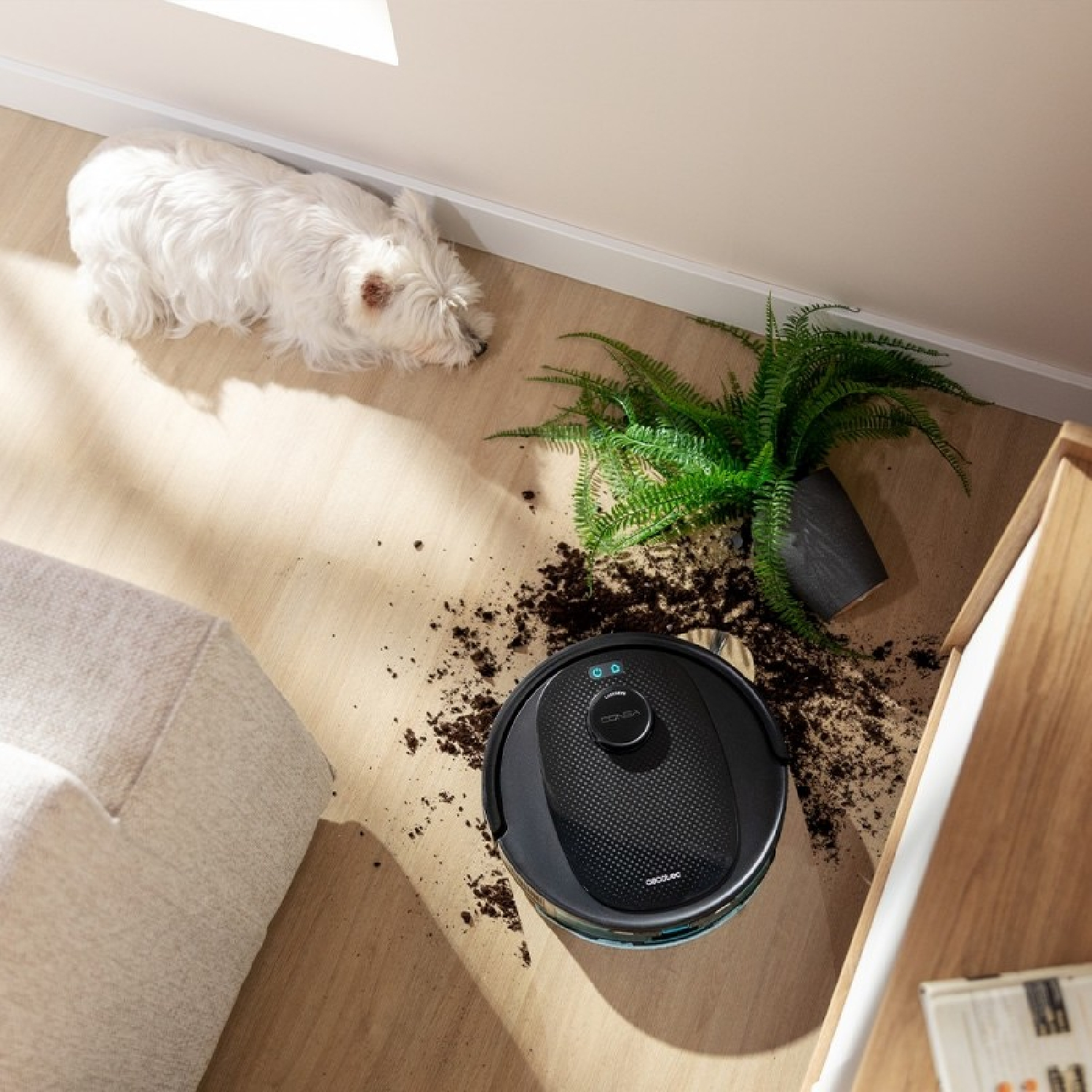 Un robot aspirapolvere pulisce la terra rovesciata da una pianta su un pavimento in legno vicino a un cane.