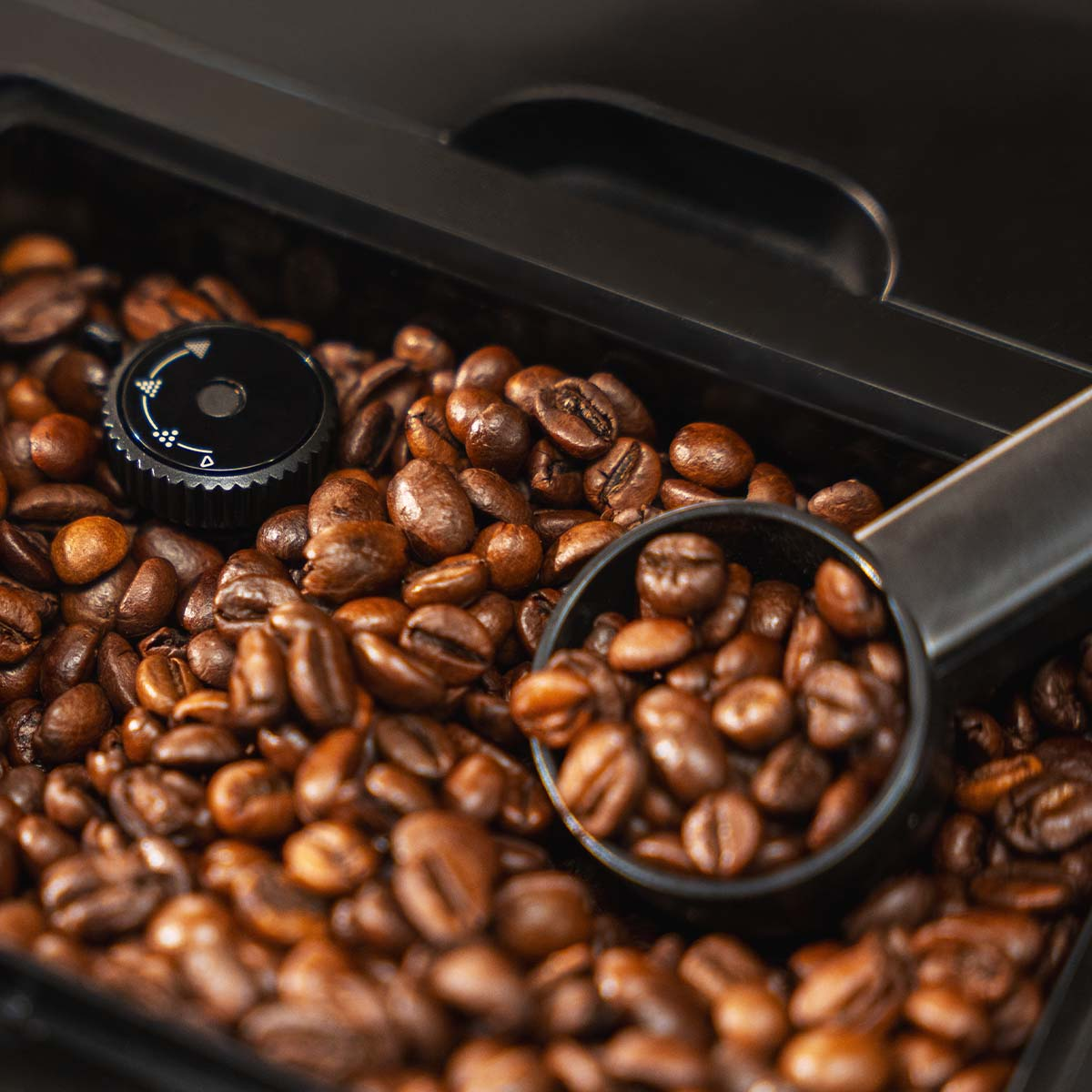 Chicchi di caffè torrefatti in un contenitore con un cucchiaio e una manopola.