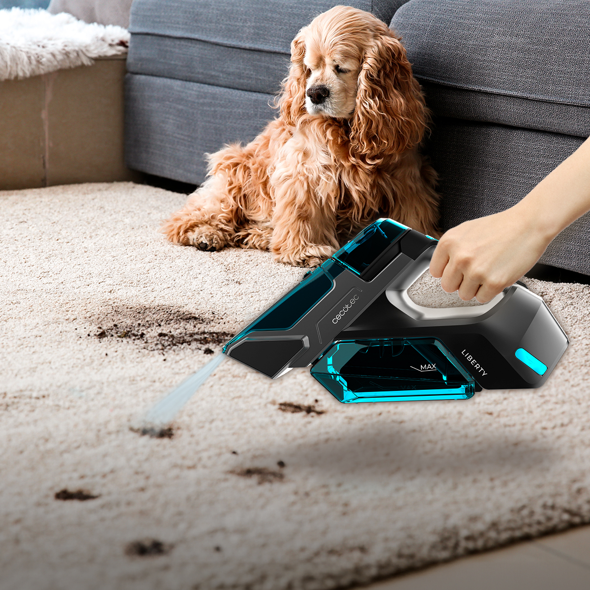 Una persona usa un aspirapolvere portatile per pulire le macchie su un tappeto, con un cane che guarda.