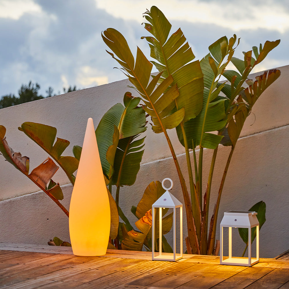 Lampade da giardino illuminate e pianta tropicale su ponte in legno contro muro luminoso.