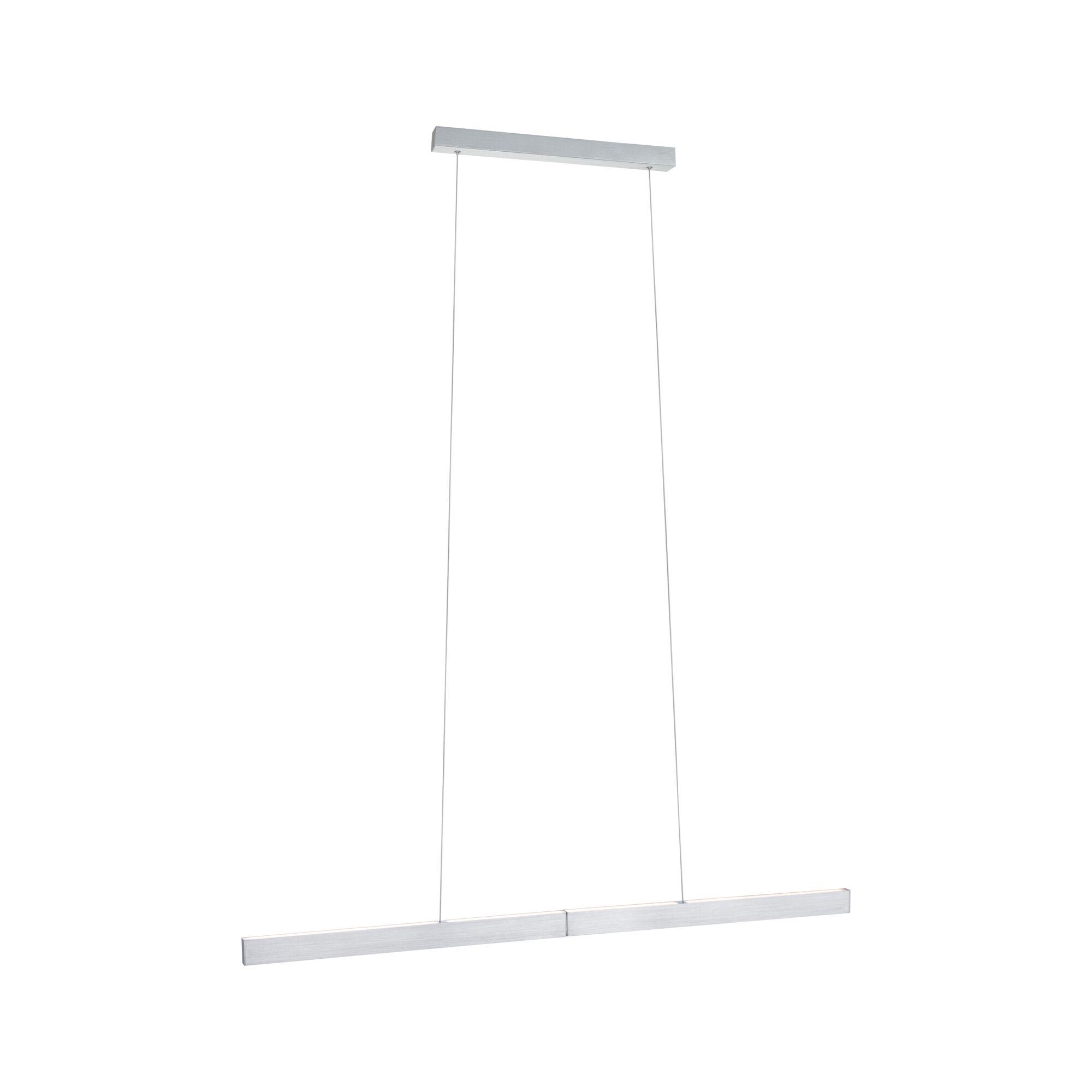 Una lunga lampada a sospensione argentata è appesa a due fili sottili da un supporto a soffitto su sfondo bianco.