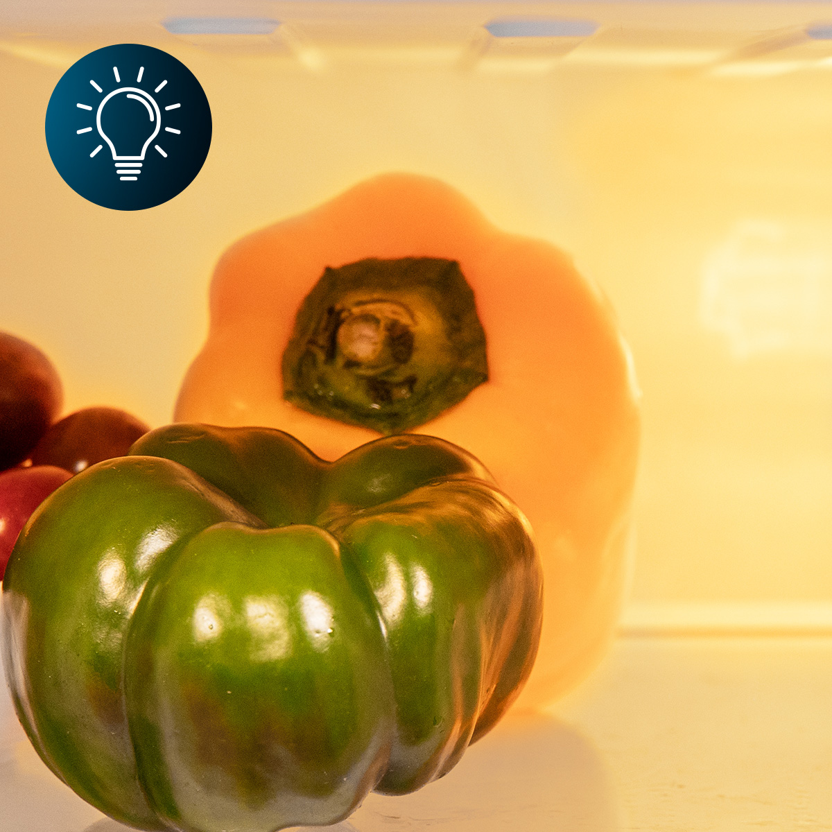 Eine grüne Paprika im Vordergrund und eine gelbe Paprika dahinter im beleuchteten Kühlschrank.