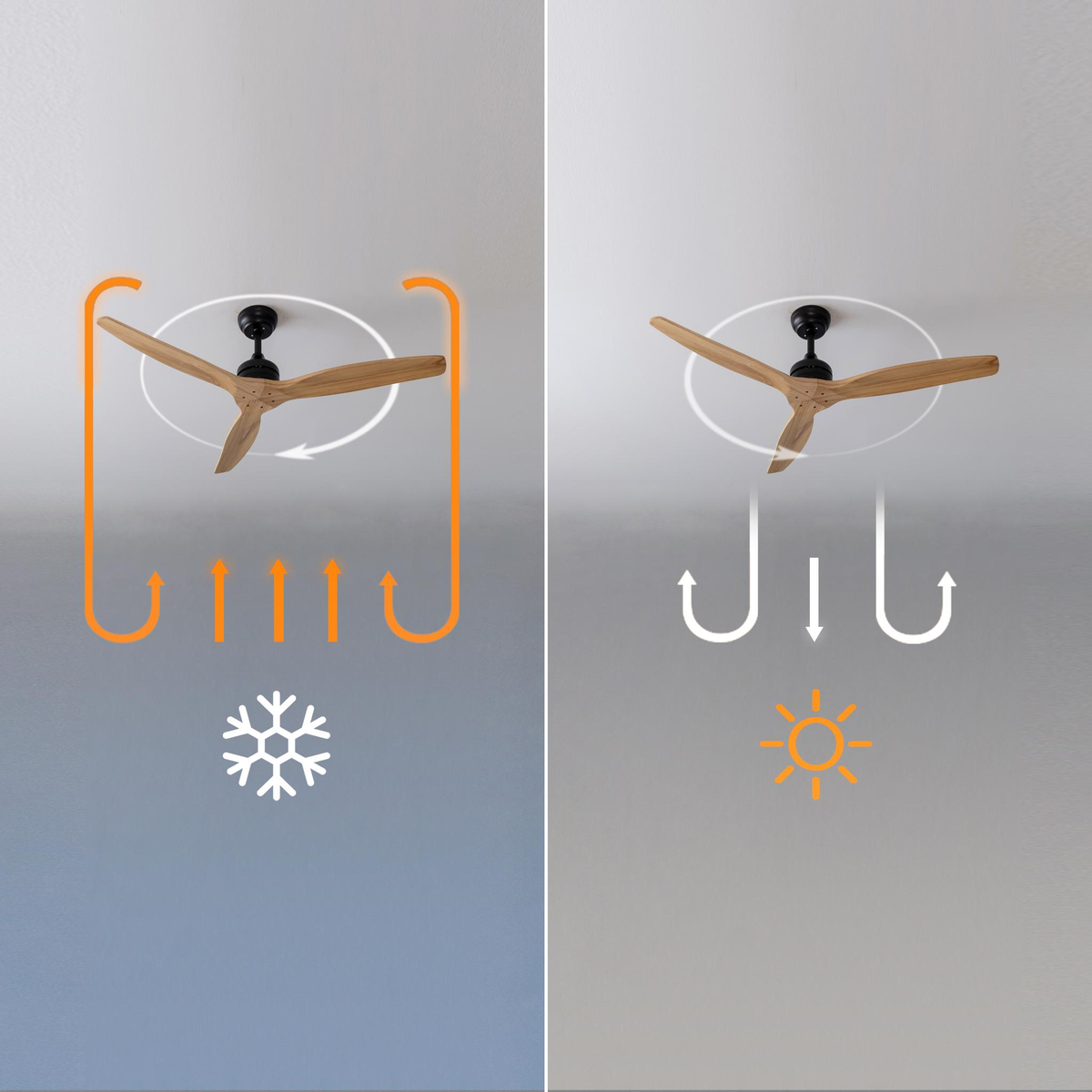 Vergleich zweier Deckenventilatoren mit Grafiken für Sommer- und Winterbetrieb.