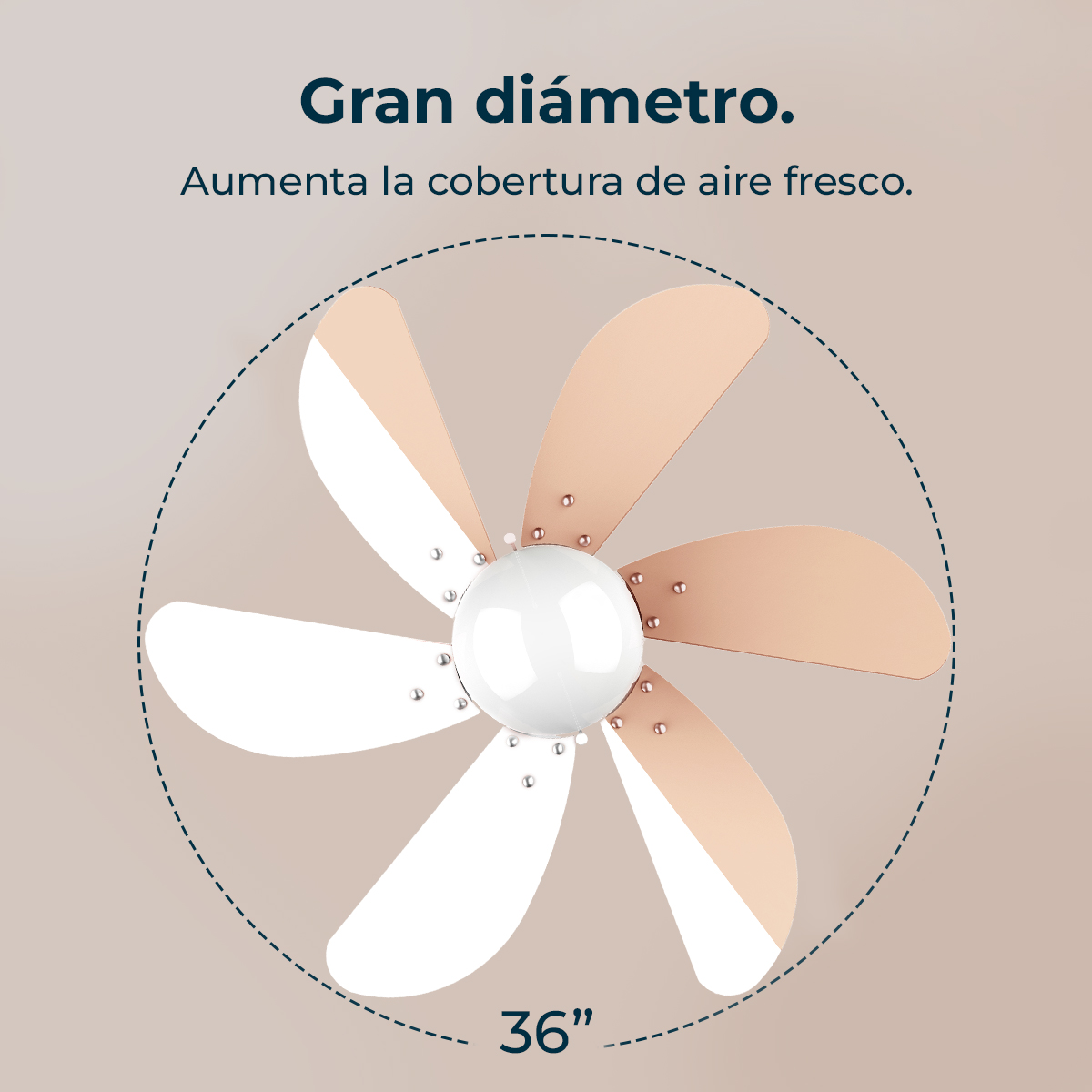Ein Deckenventilator mit sechs weiß-orangen Blättern und einer Leuchte, umgeben von einer 36-Zoll-Linie.