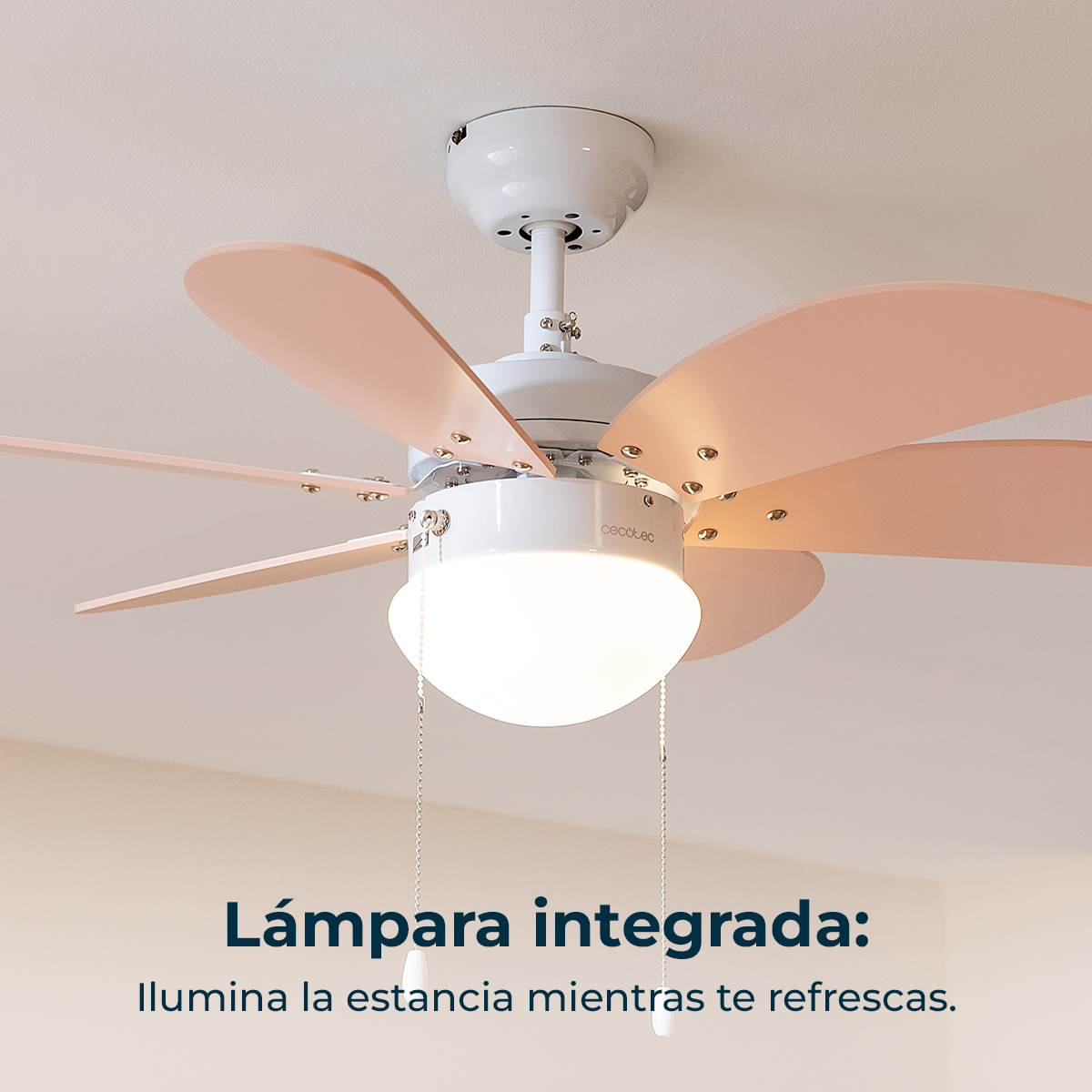 Weißer Deckenventilator mit rosa Flügeln und integrierter runder Lampe an heller Decke.