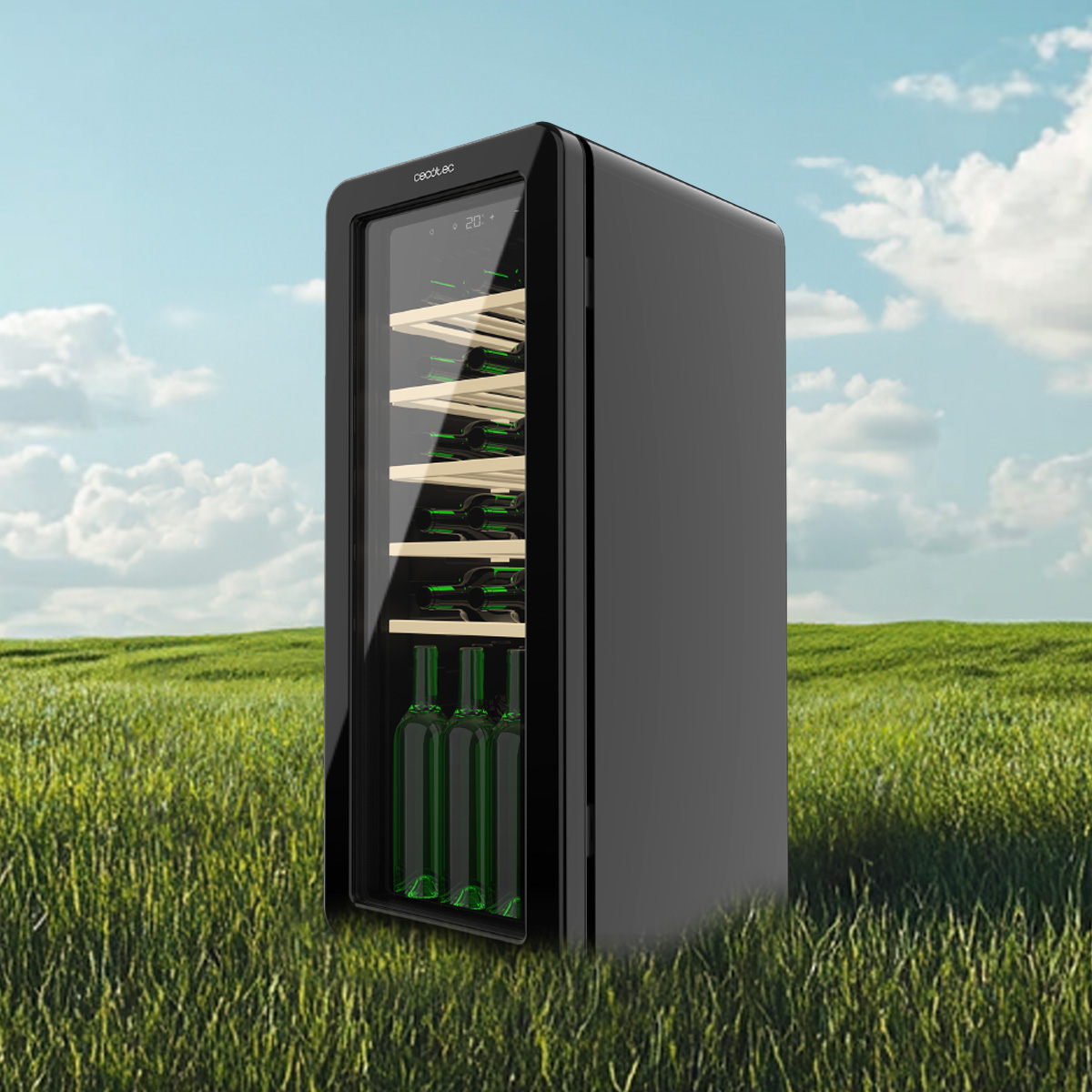 Una cantinetta per vino nera con porta in vetro si trova nell'erba verde sotto un cielo azzurro.