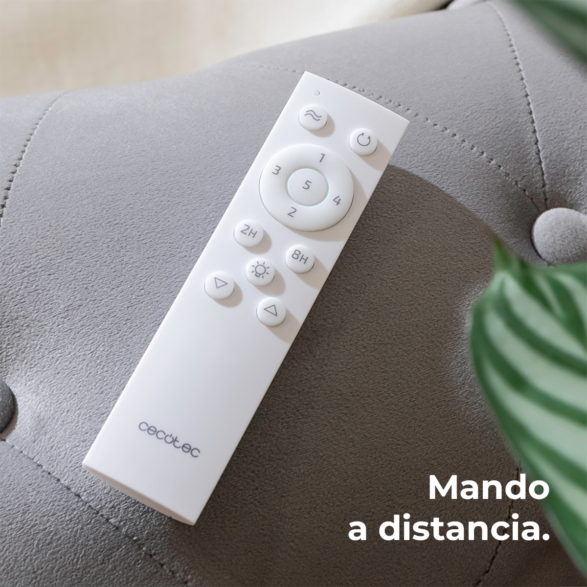 Un mando a distancia blanco Cecotec descansa sobre un sofá gris junto a una planta verde.
