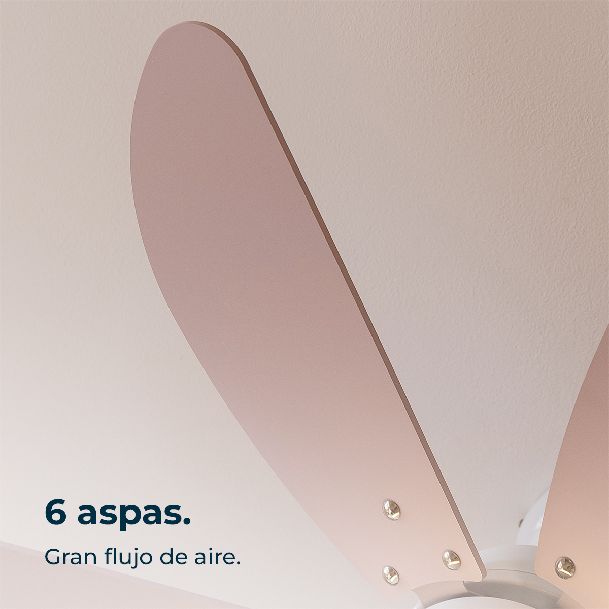 Nahaufnahme rosa Deckenventilatorblätter vor weißem Hintergrund mit spanischem Text links.