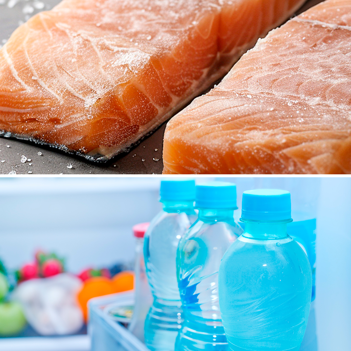 Dos filetes de salmón marinados sobre fondo gris, y abajo botellas de agua azul en un refrigerador.