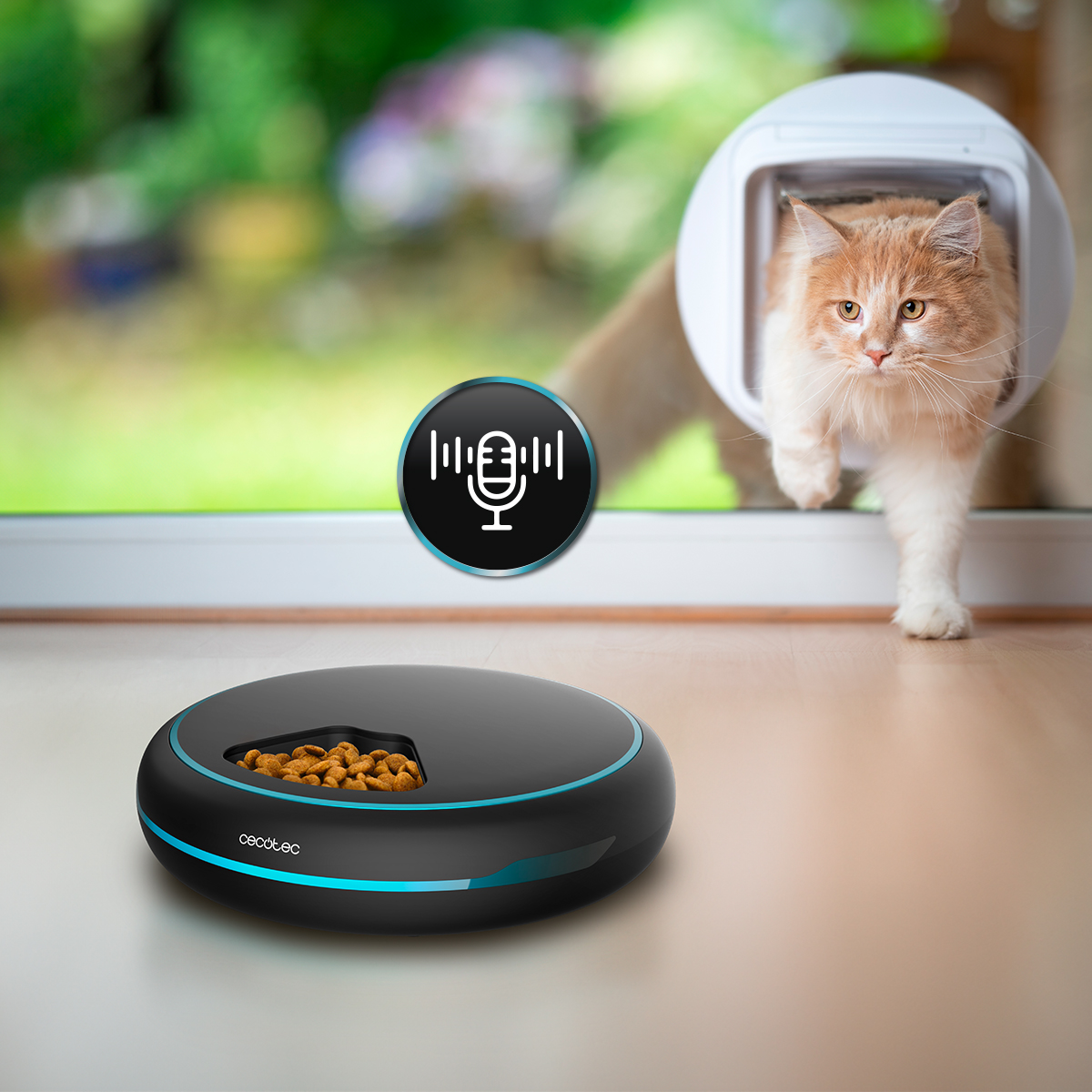 Un gatto entra attraverso una gattaiola mentre una ciotola automatica nera è in primo piano.