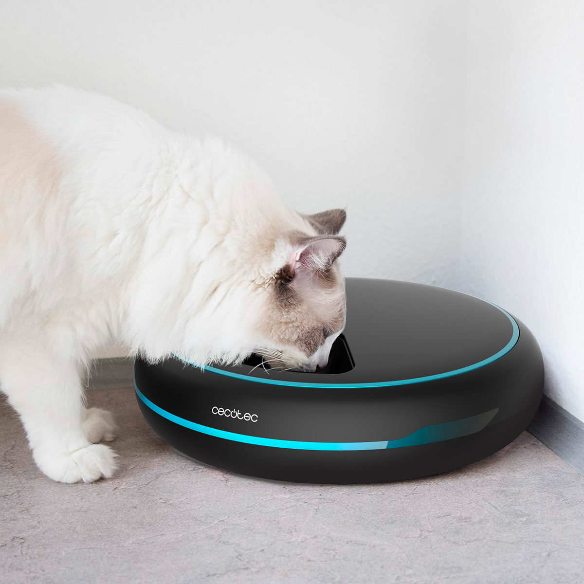 Un gatto bianco e soffice mangia da una moderna ciotola automatica nera con un anello blu luminoso sul pavimento.