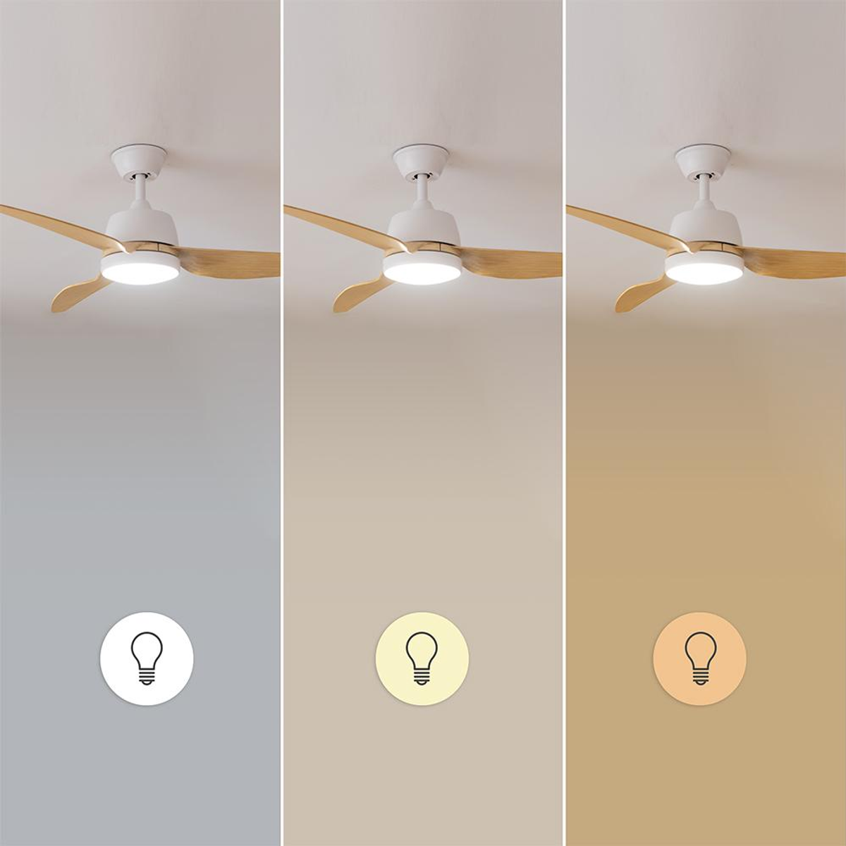 Drei Deckenventilatoren mit Holzluefterblaettern und LED-Licht zeigen verschiedene Farbtemperaturen an Waenden.