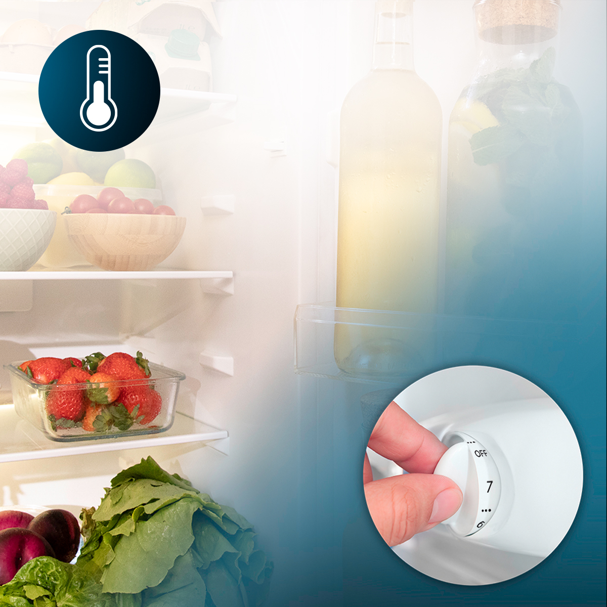 Interior de refrigerador con productos frescos, bebidas y una mano ajustando el selector de temperatura.