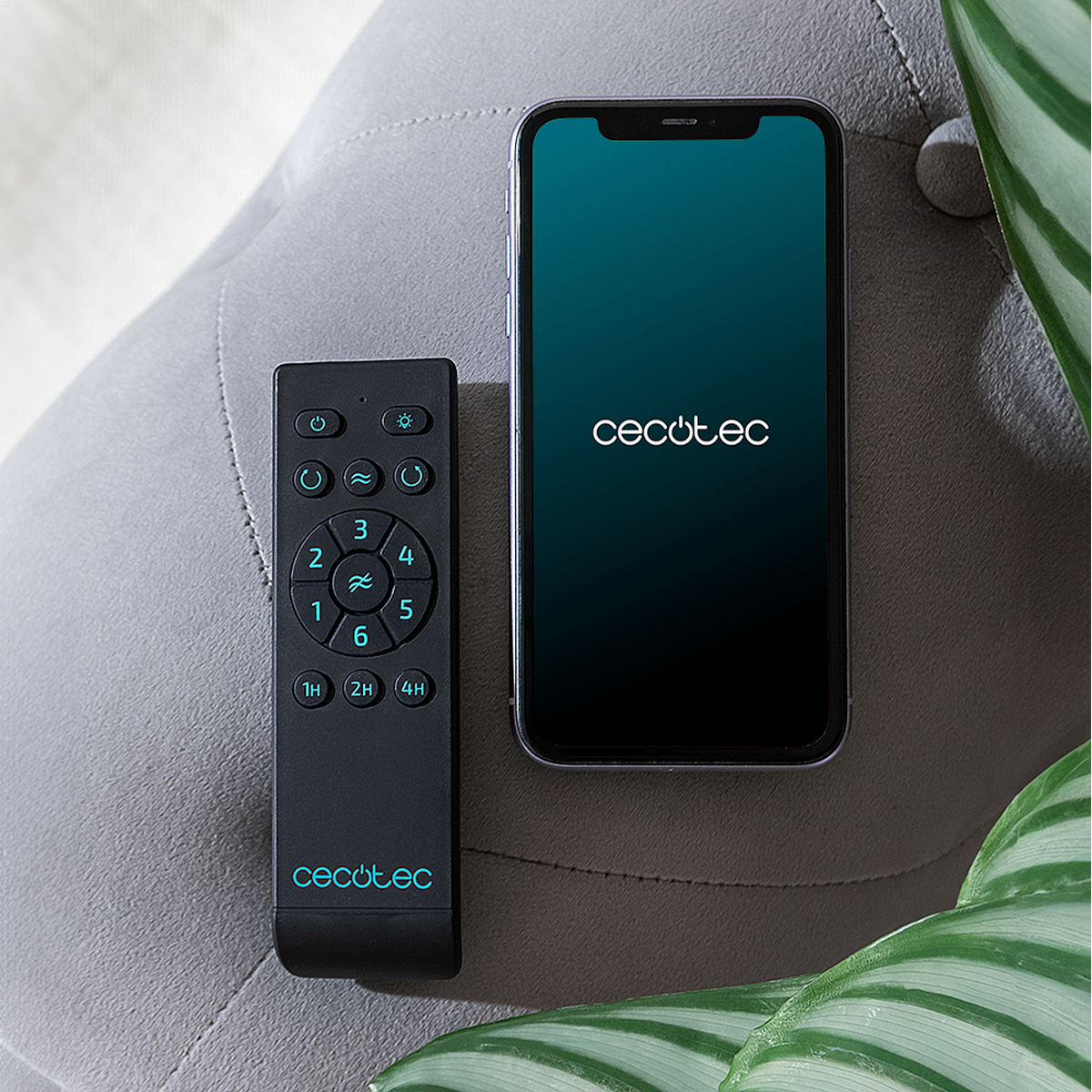 Eine Cecotec-Fernbedienung und ein Smartphone liegen auf einer grauen Oberfläche neben grünen Blättern.