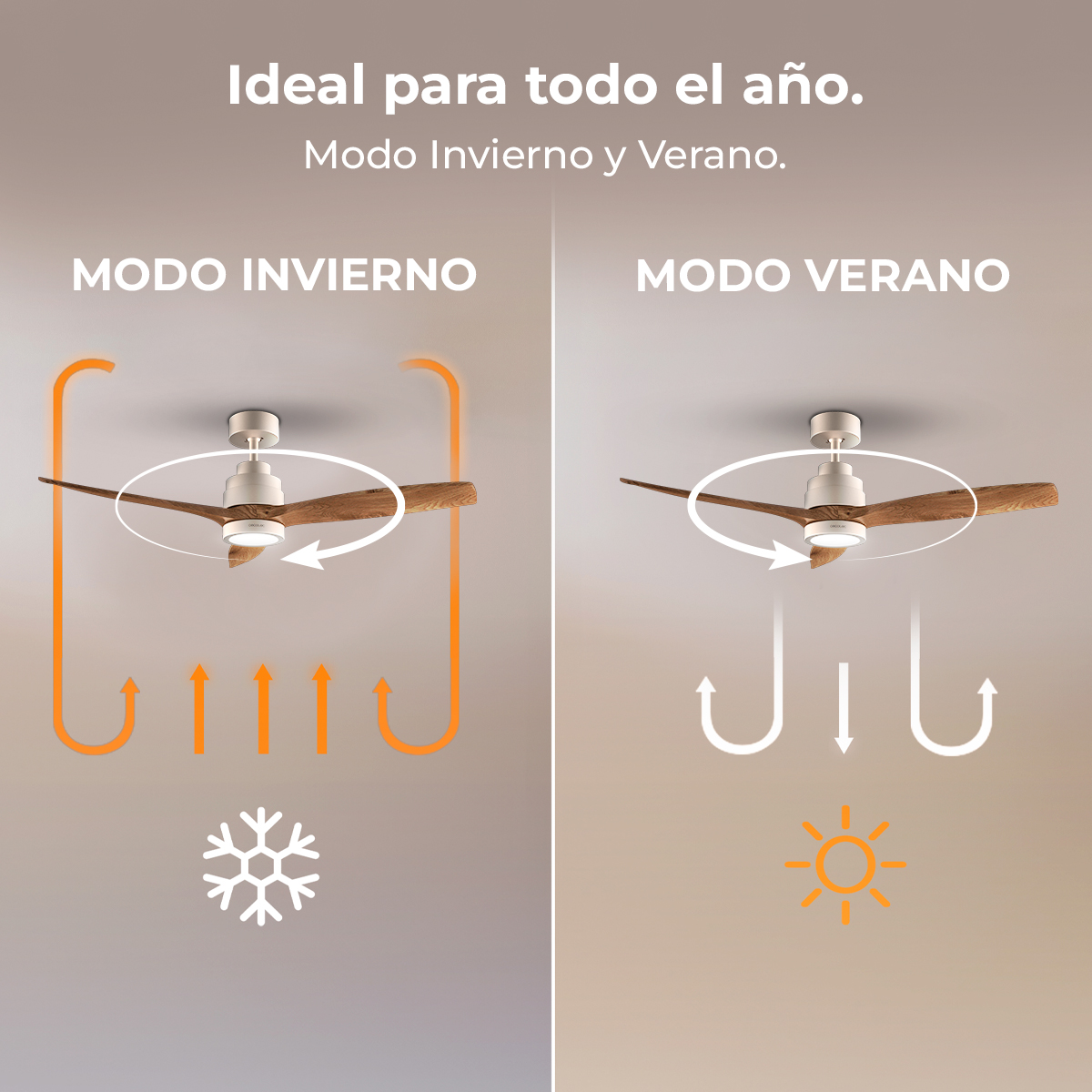 Ventilatore da soffitto con modalità inverno ed estate.
