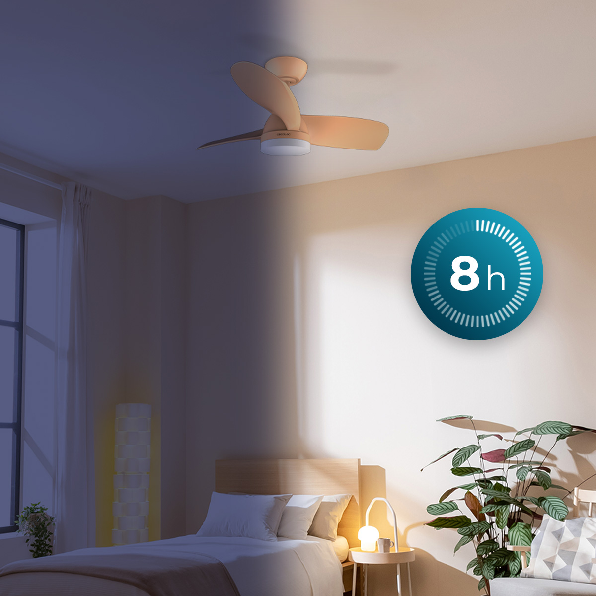 Camera da letto con ventilatore a soffitto e timer da 8 ore.