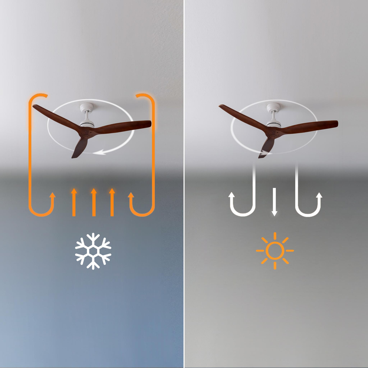 Diagramma che mostra il ventilatore a soffitto in modalità estiva e invernale con frecce.