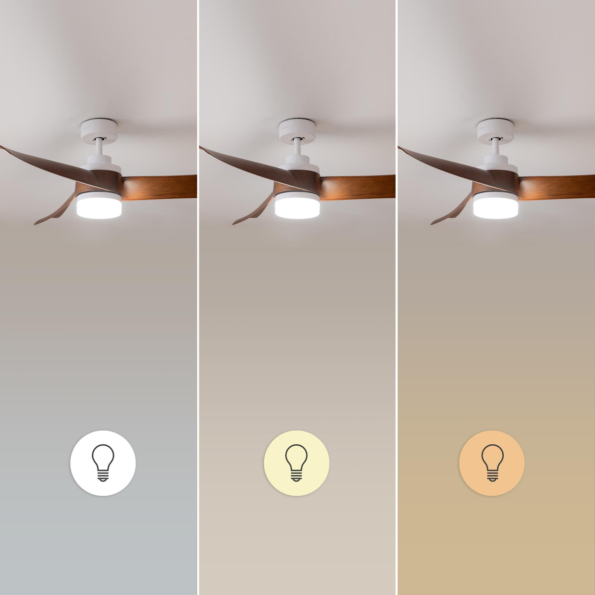 Tre identici ventilatori da soffitto con pale in legno e luci integrate che mostrano diverse temperature di colore.