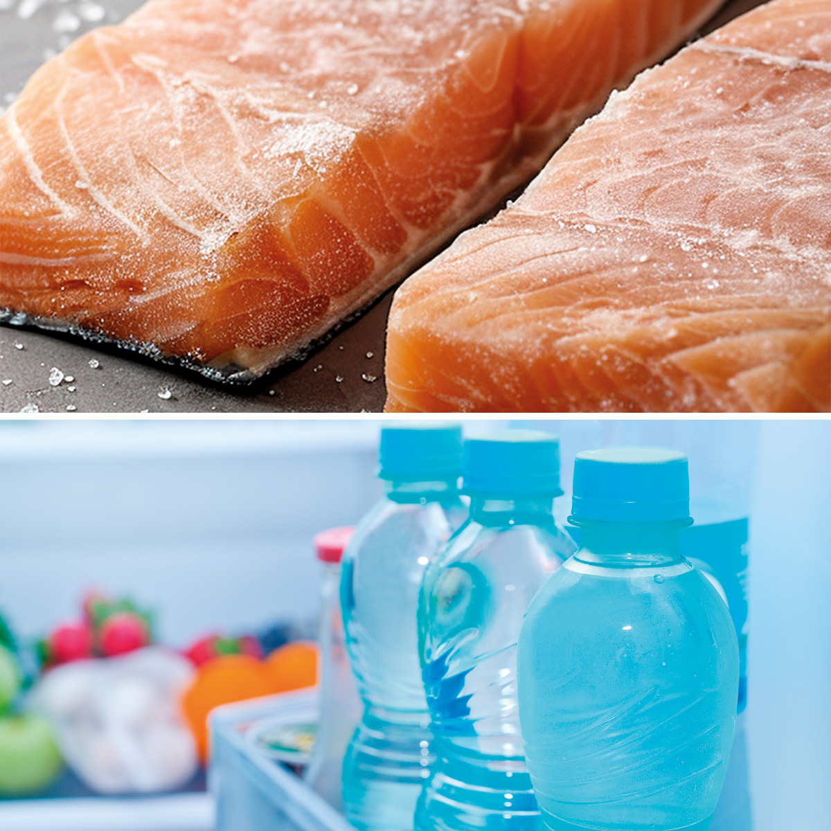 Trozos de salmón congelado arriba; botellas de agua con tapón azul en un refrigerador abajo.