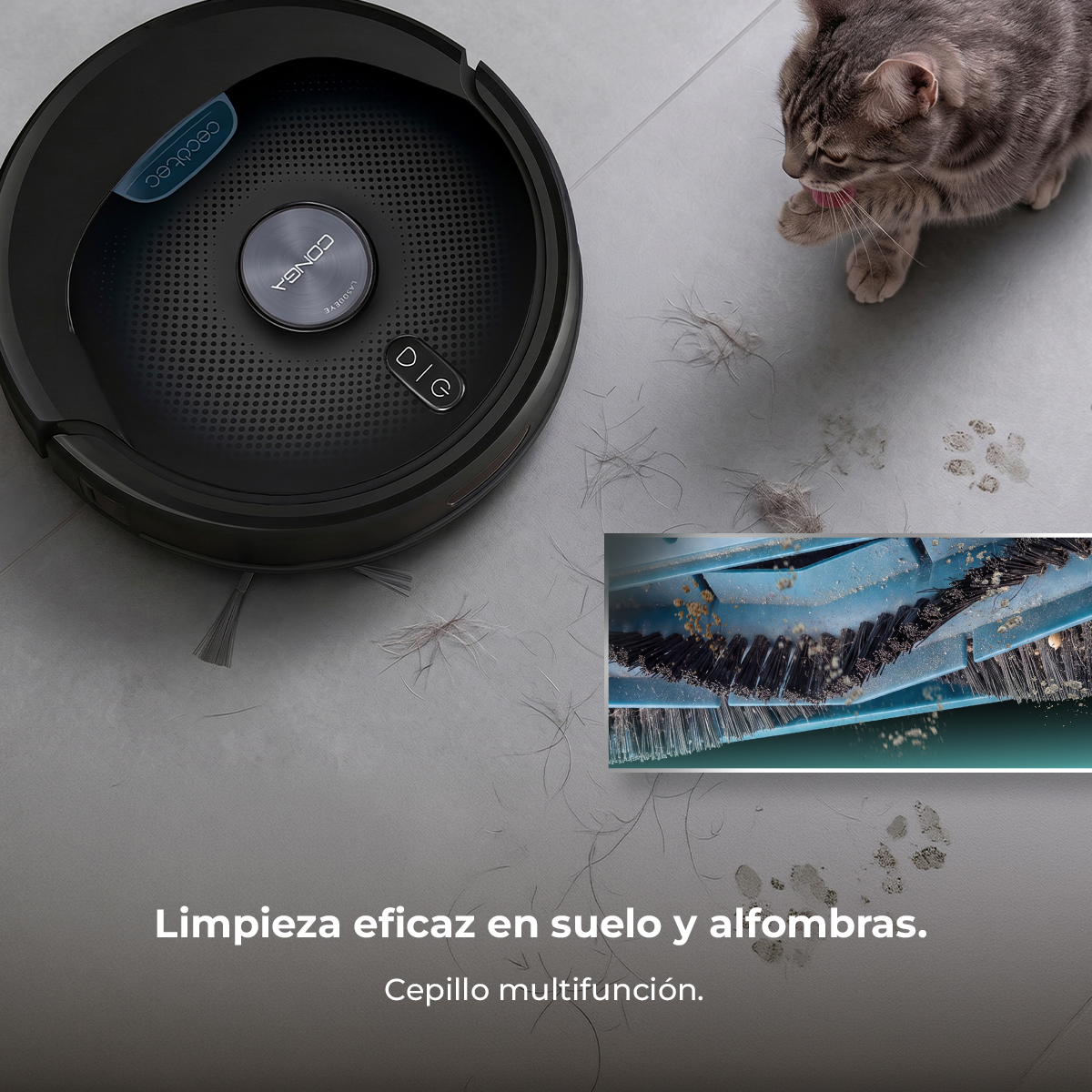 Un robot aspirapolvere nero, un gatto grigio, peli di animali sul pavimento e primo piano della spazzola.